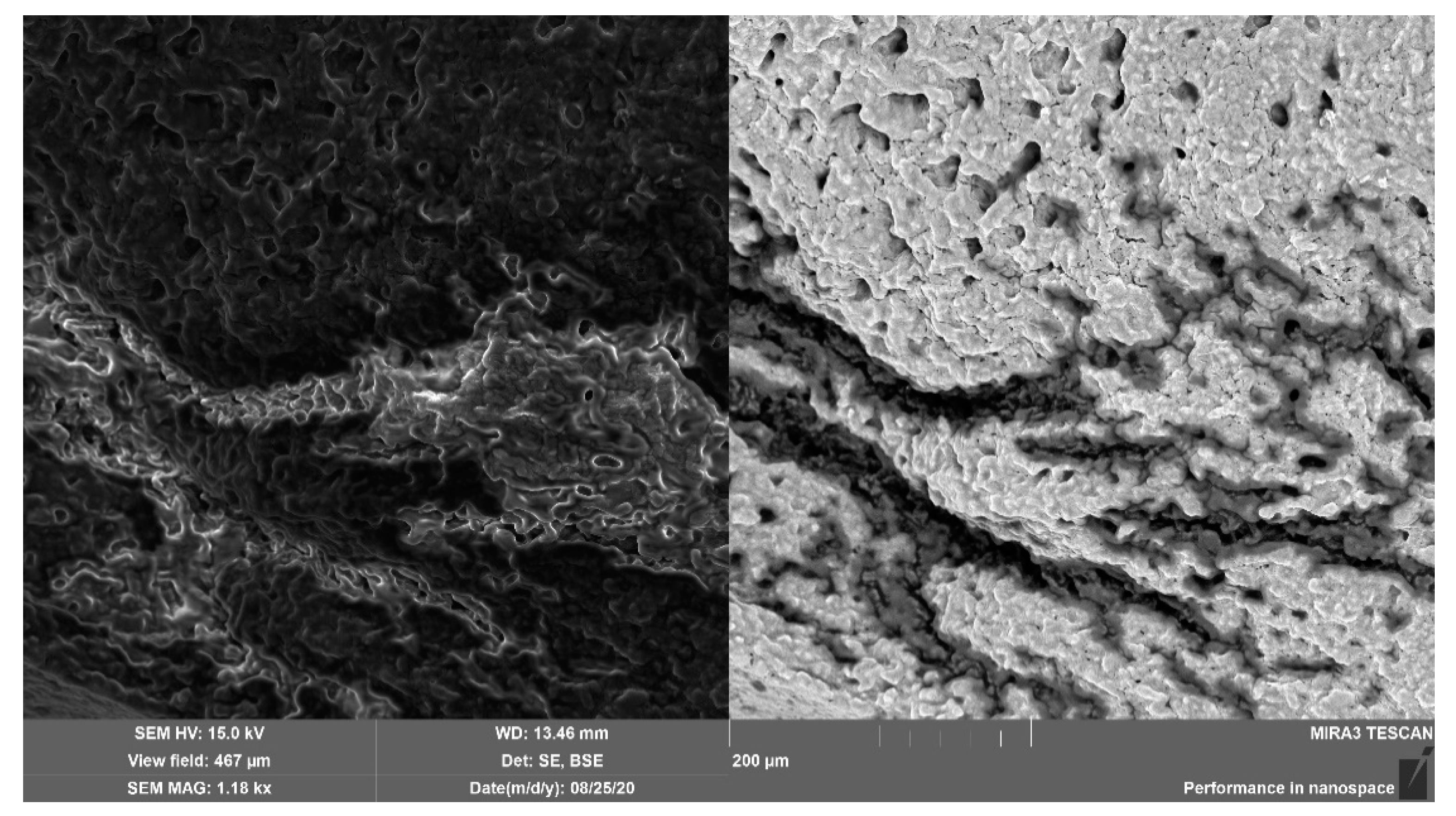 Processes 08 01416 g001 Processes 08 01416 g001
