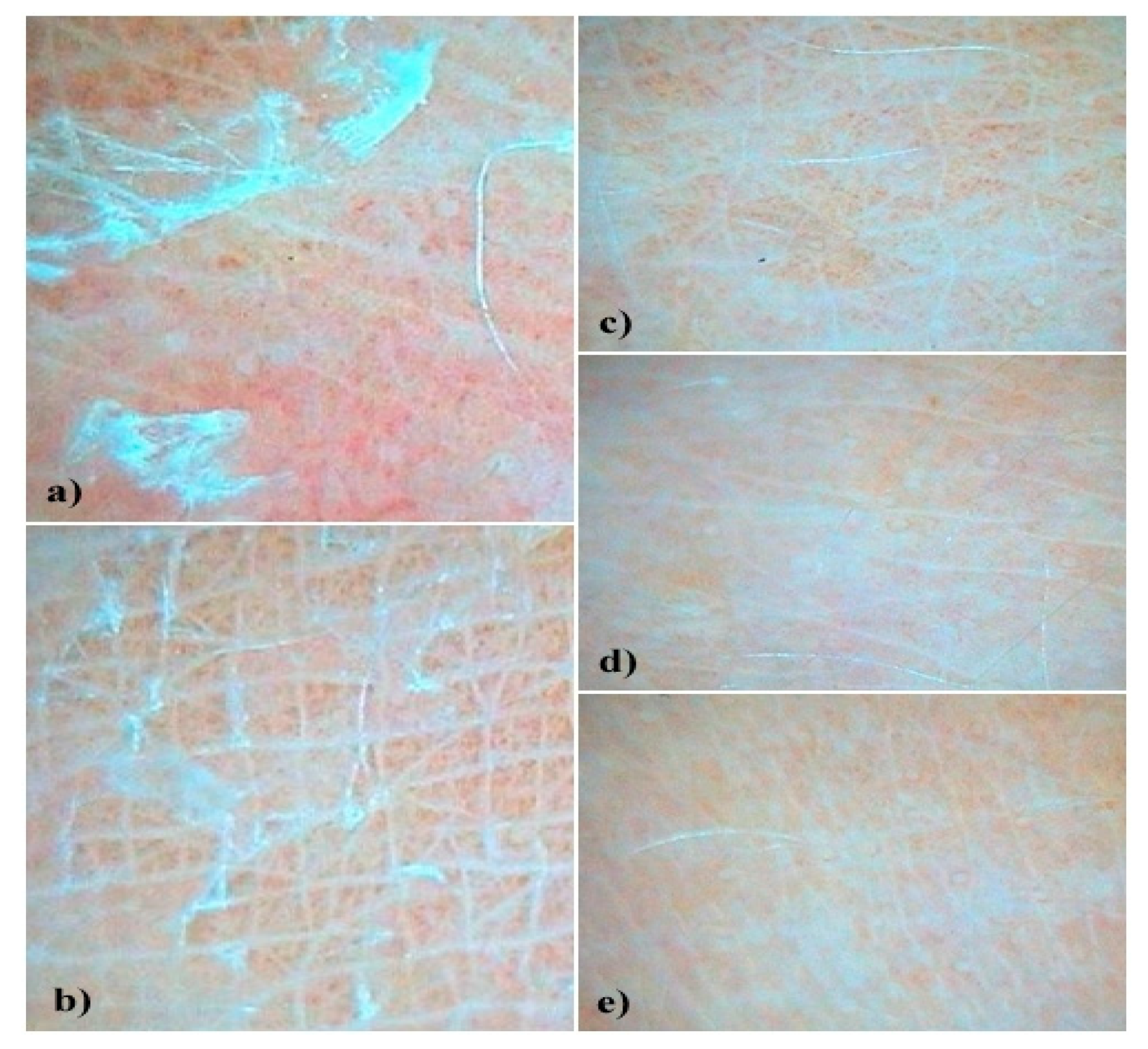 Processes 08 01416 g007 Processes 08 01416 g007