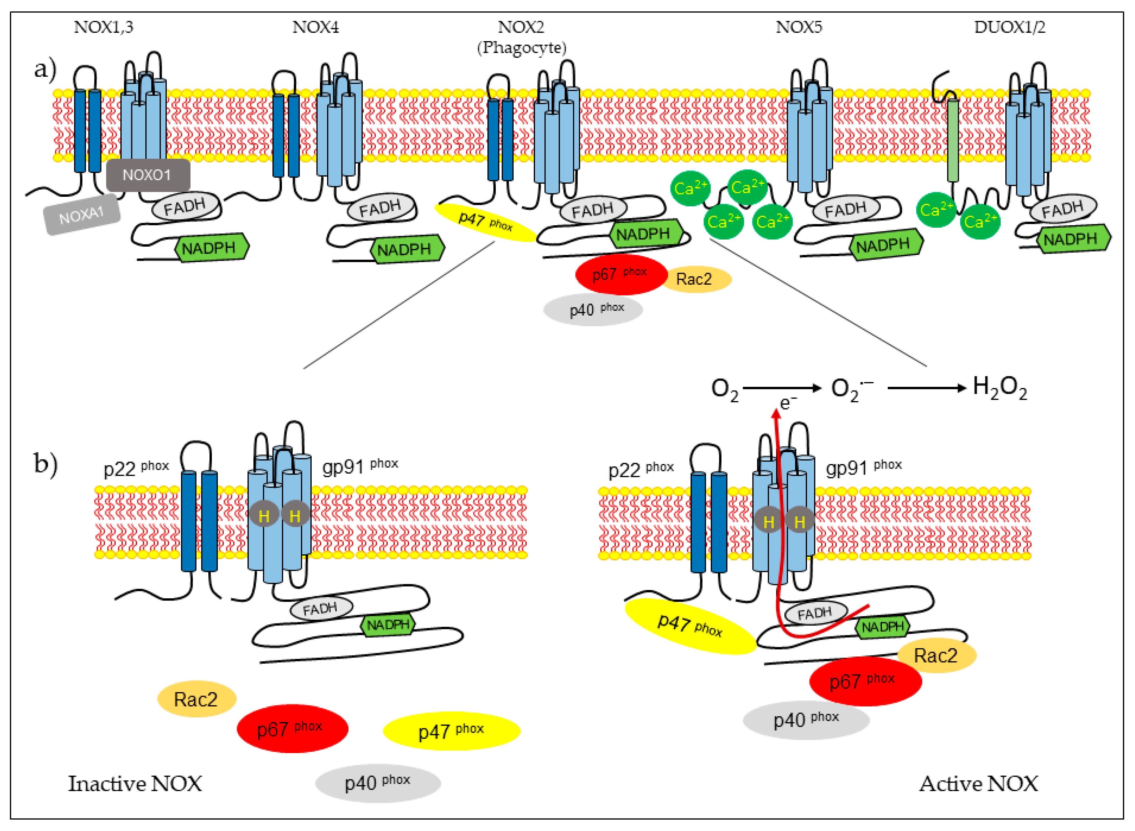 Processes 08 01424 g001 Processes 08 01424 g001