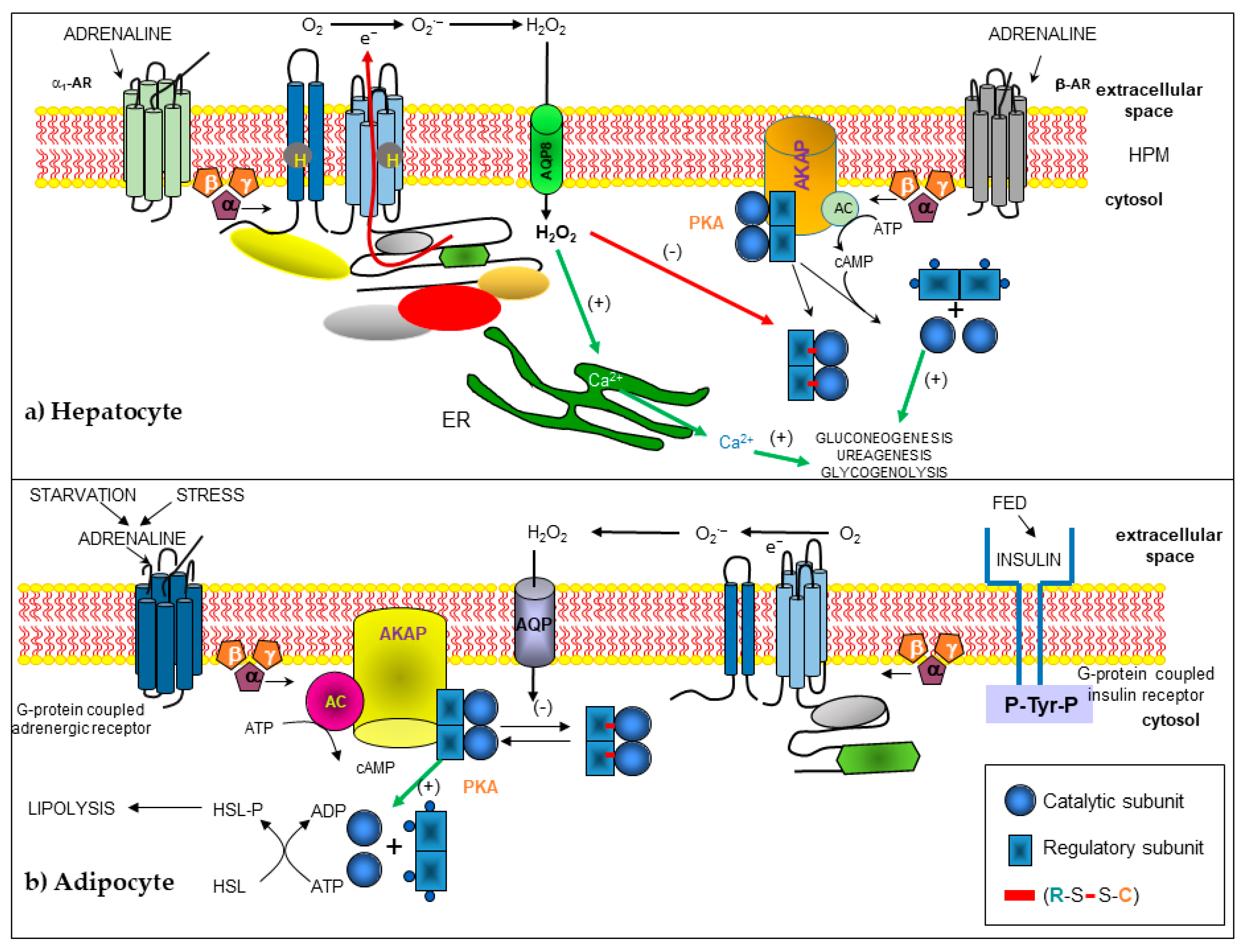 Processes 08 01424 g002 Processes 08 01424 g002