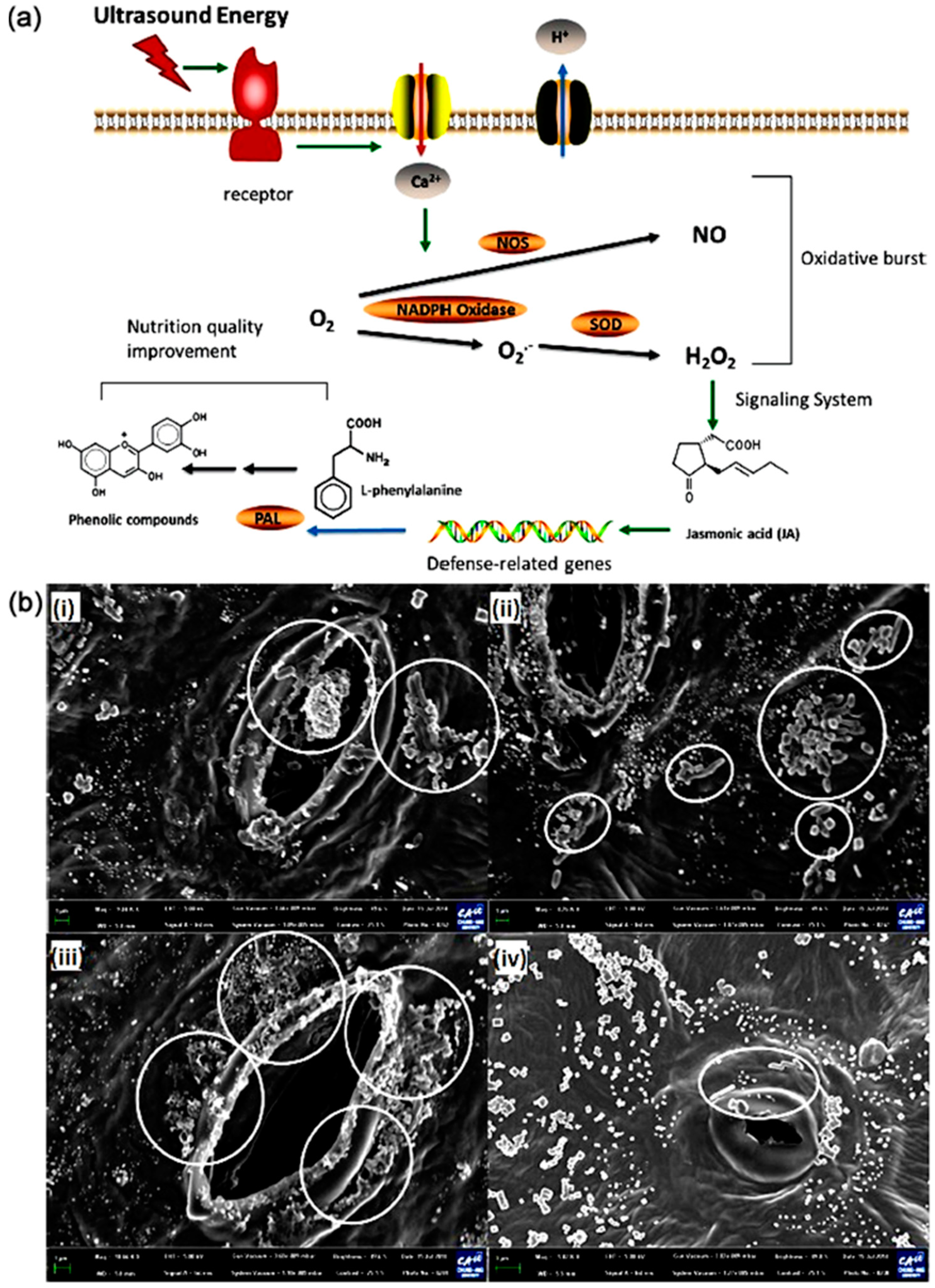 Processes 08 01433 g003