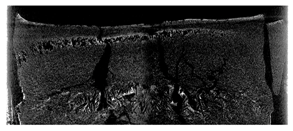 Processes 08 01439 i023