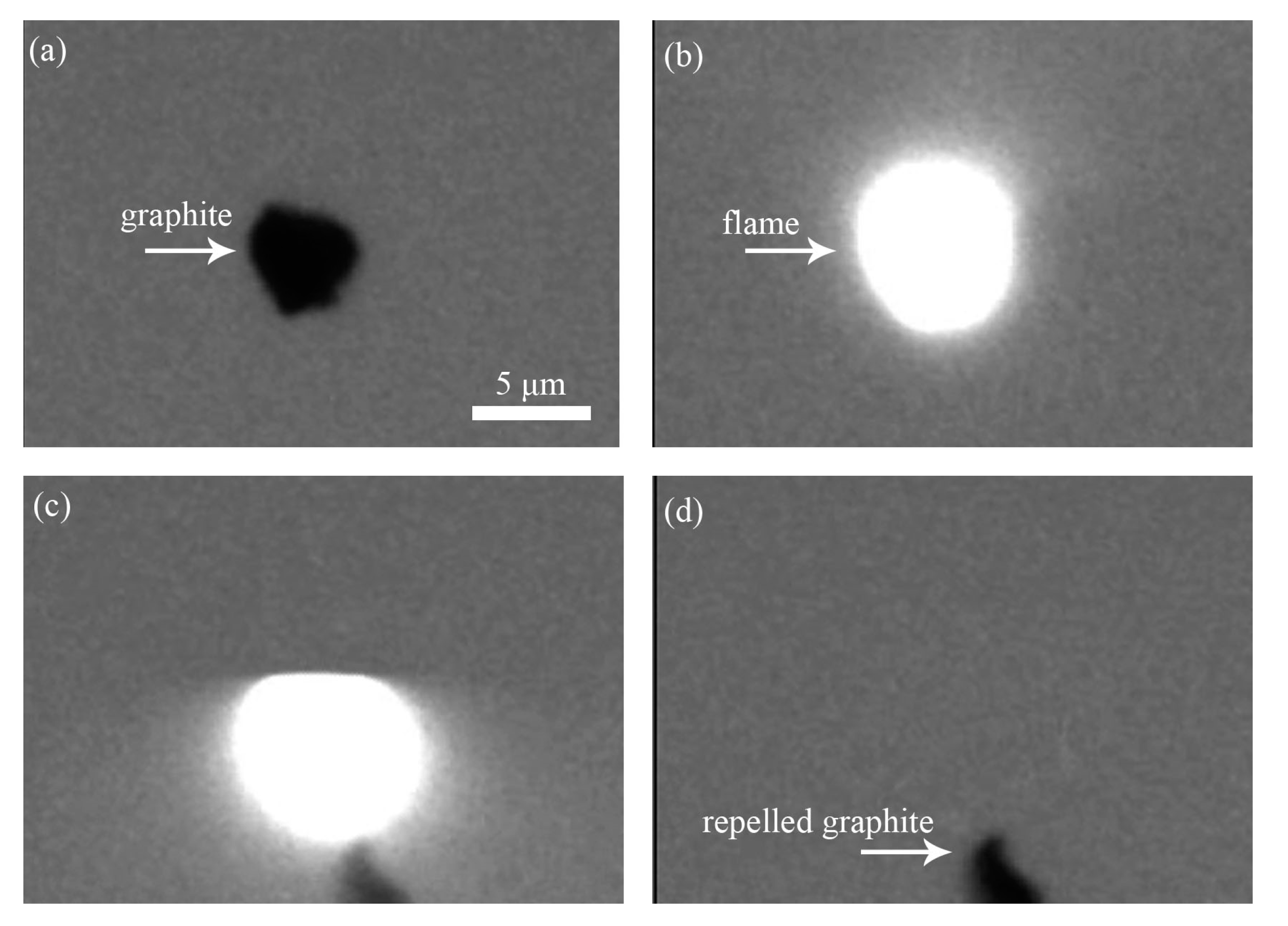 Processes 08 01493 g010