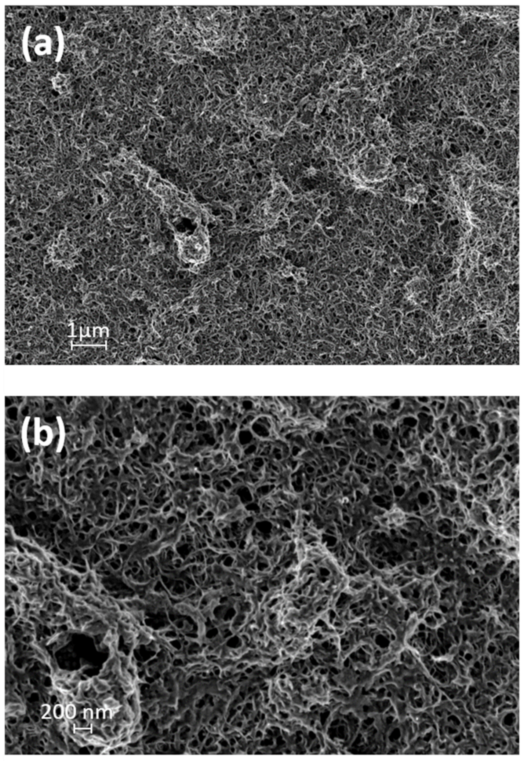 Processes 08 01503 g004