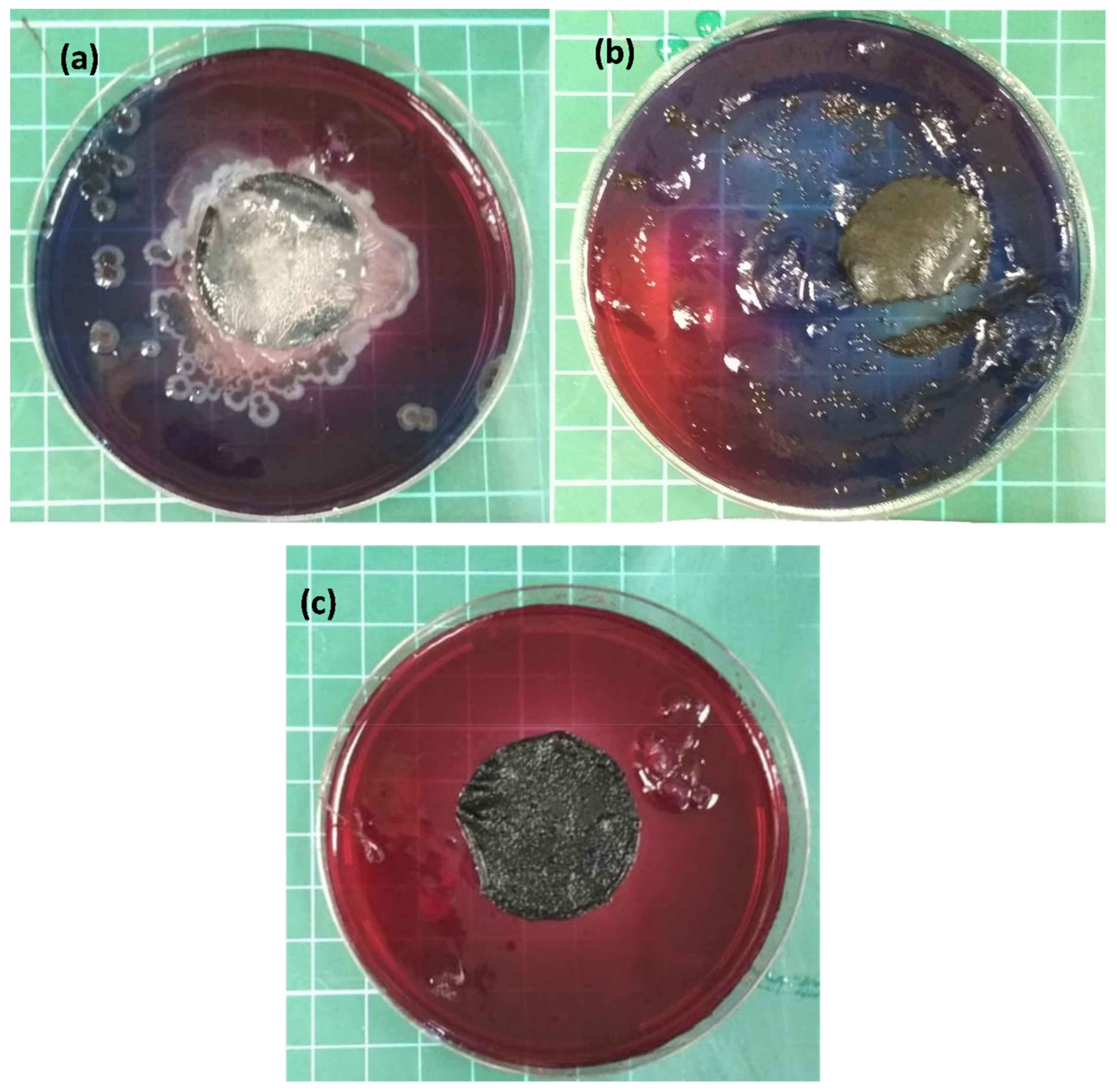 Processes 08 01503 g005