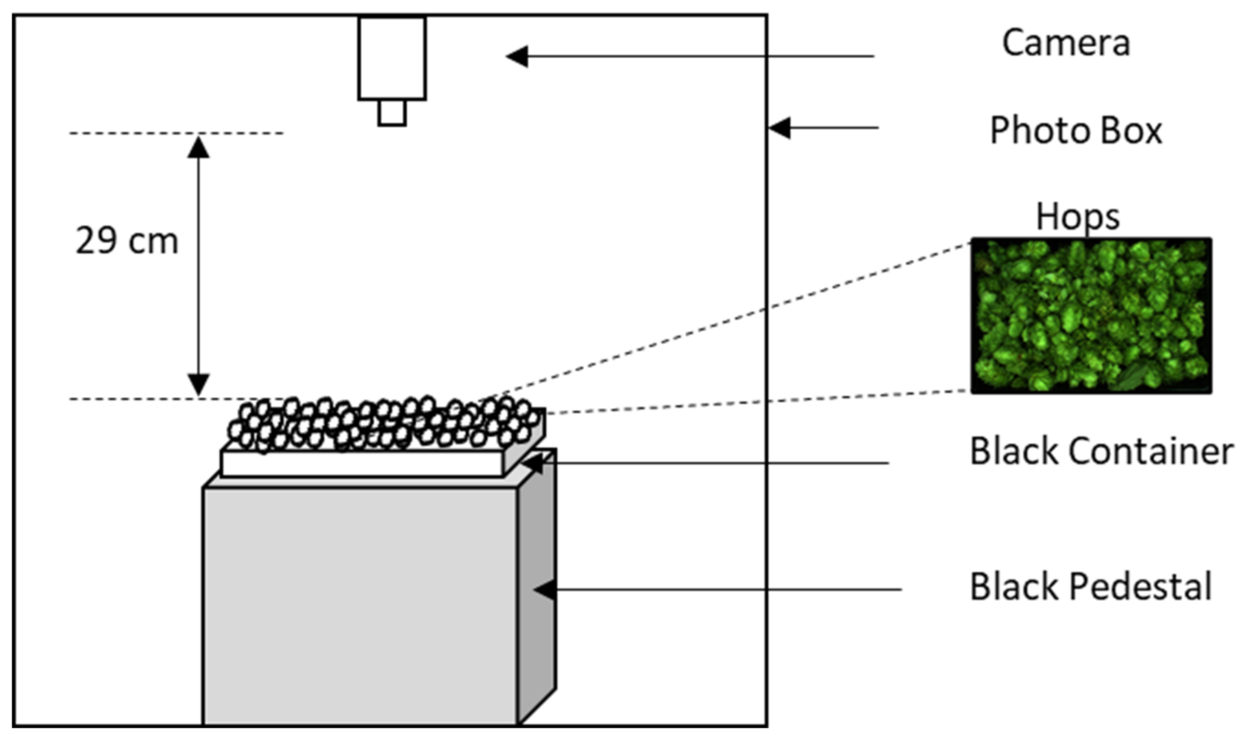 Processes 08 01507 g003 Processes 08 01507 g003