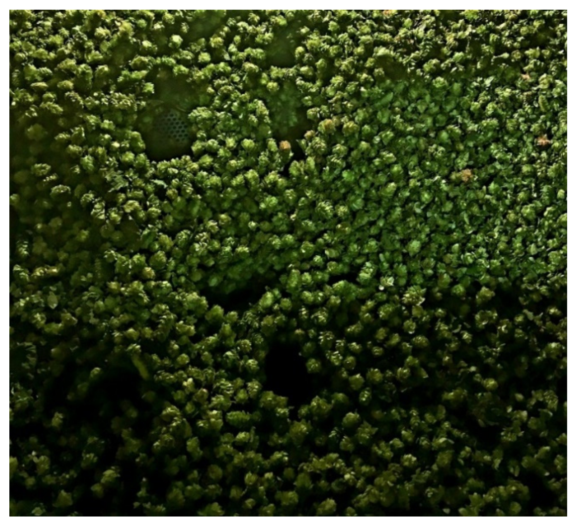 Processes 08 01507 g007 Processes 08 01507 g007