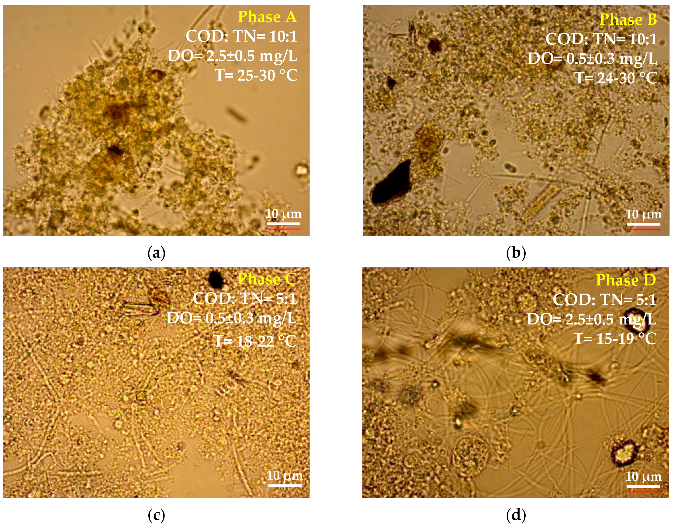 Processes 08 01514 g003