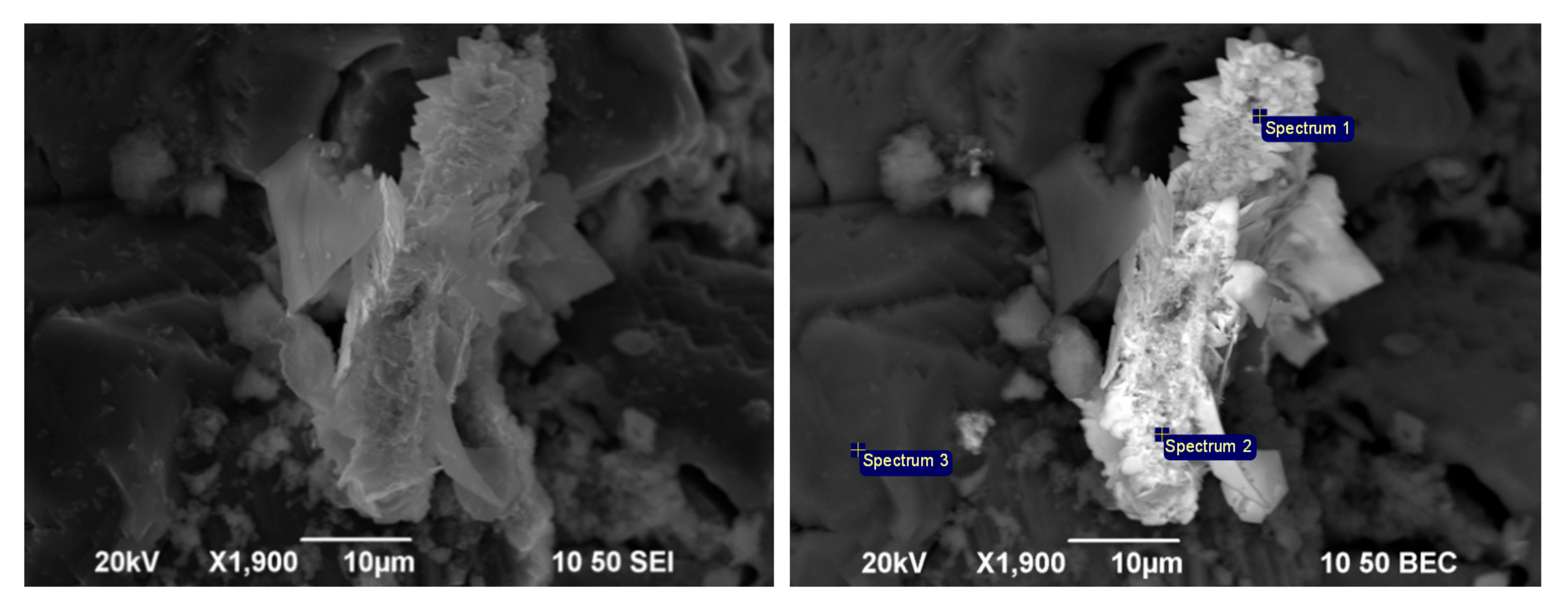 Processes 08 01523 g011