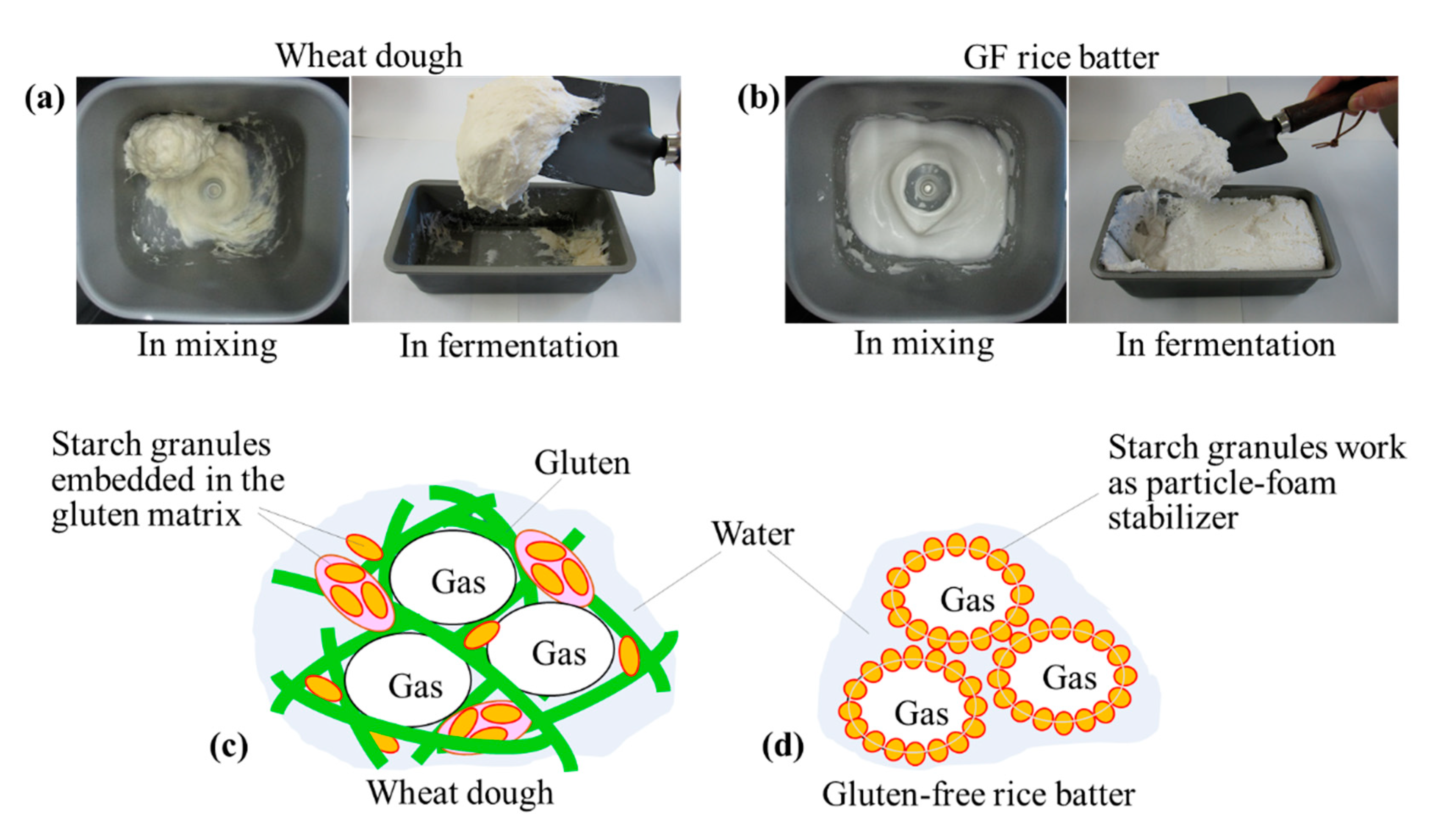 Processes 08 01541 g001