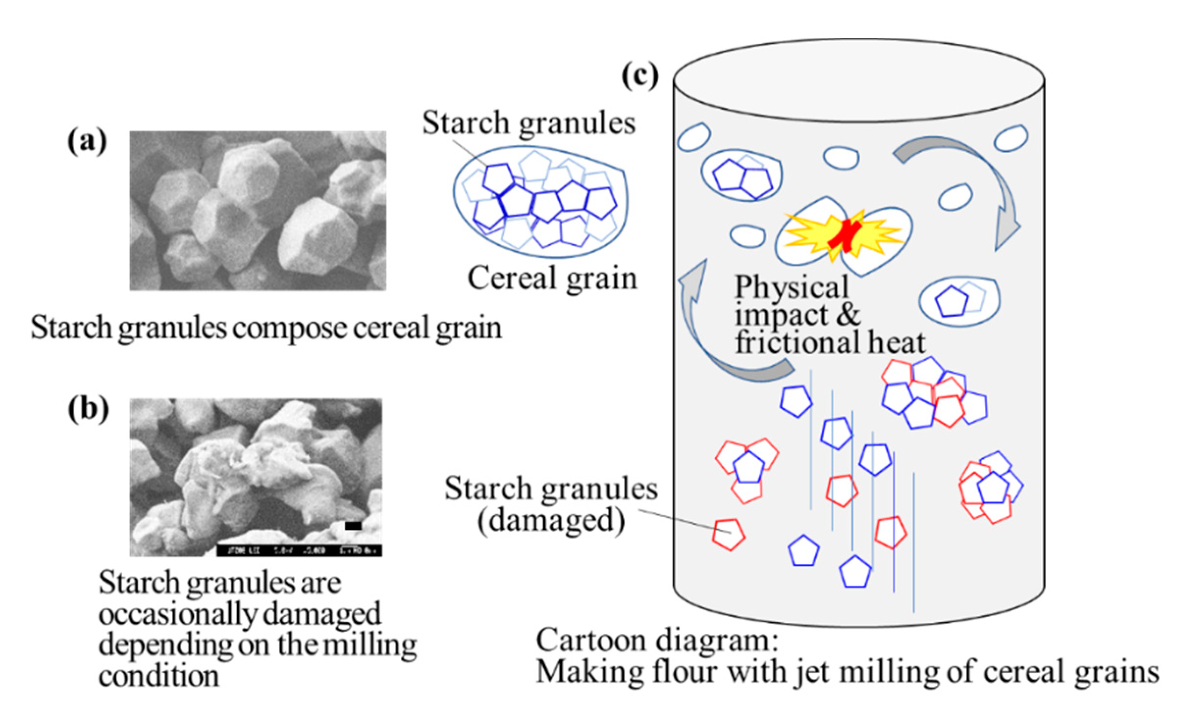 Processes 08 01541 g002
