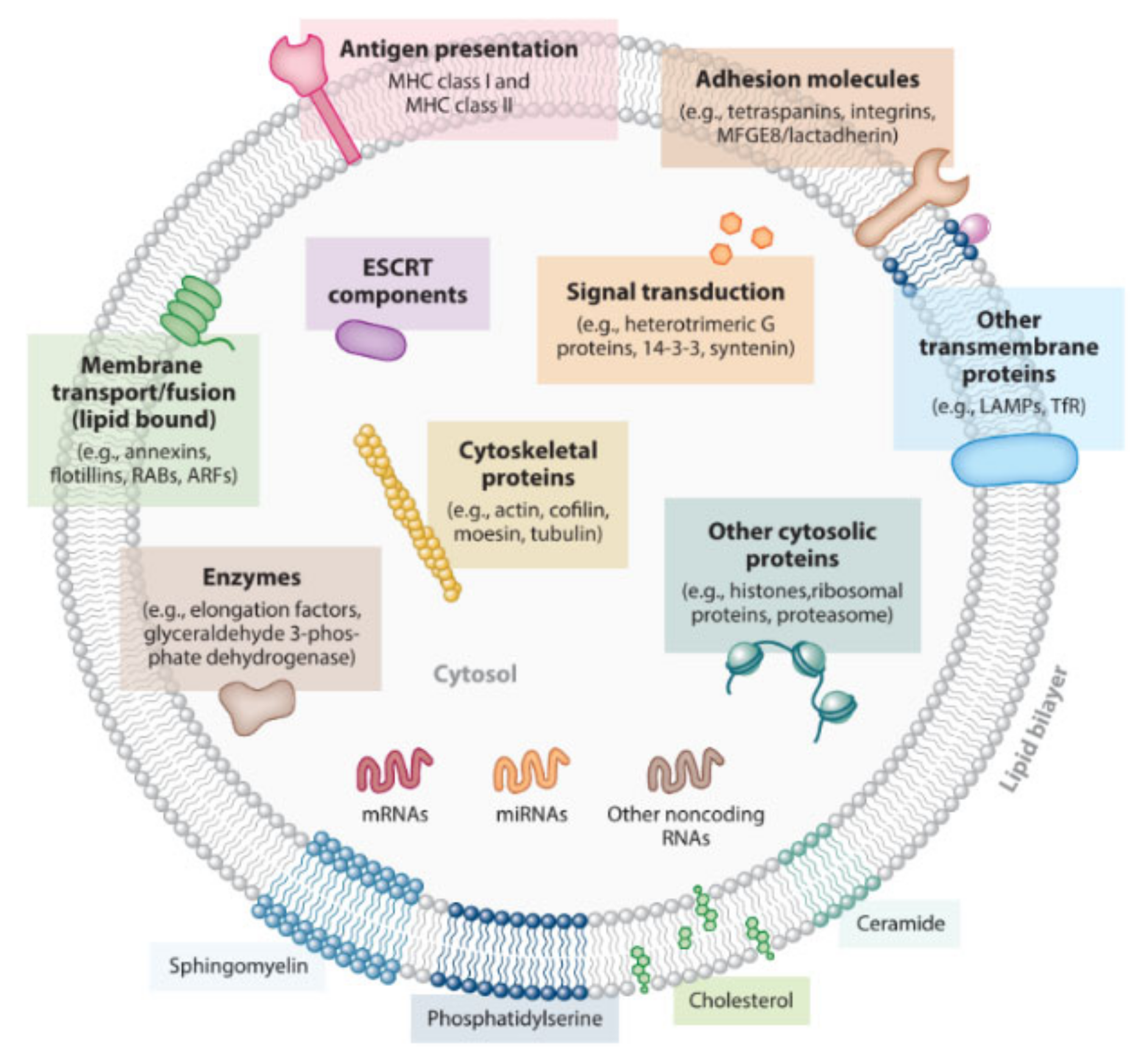 Processes 08 01561 g001 Processes 08 01561 g001