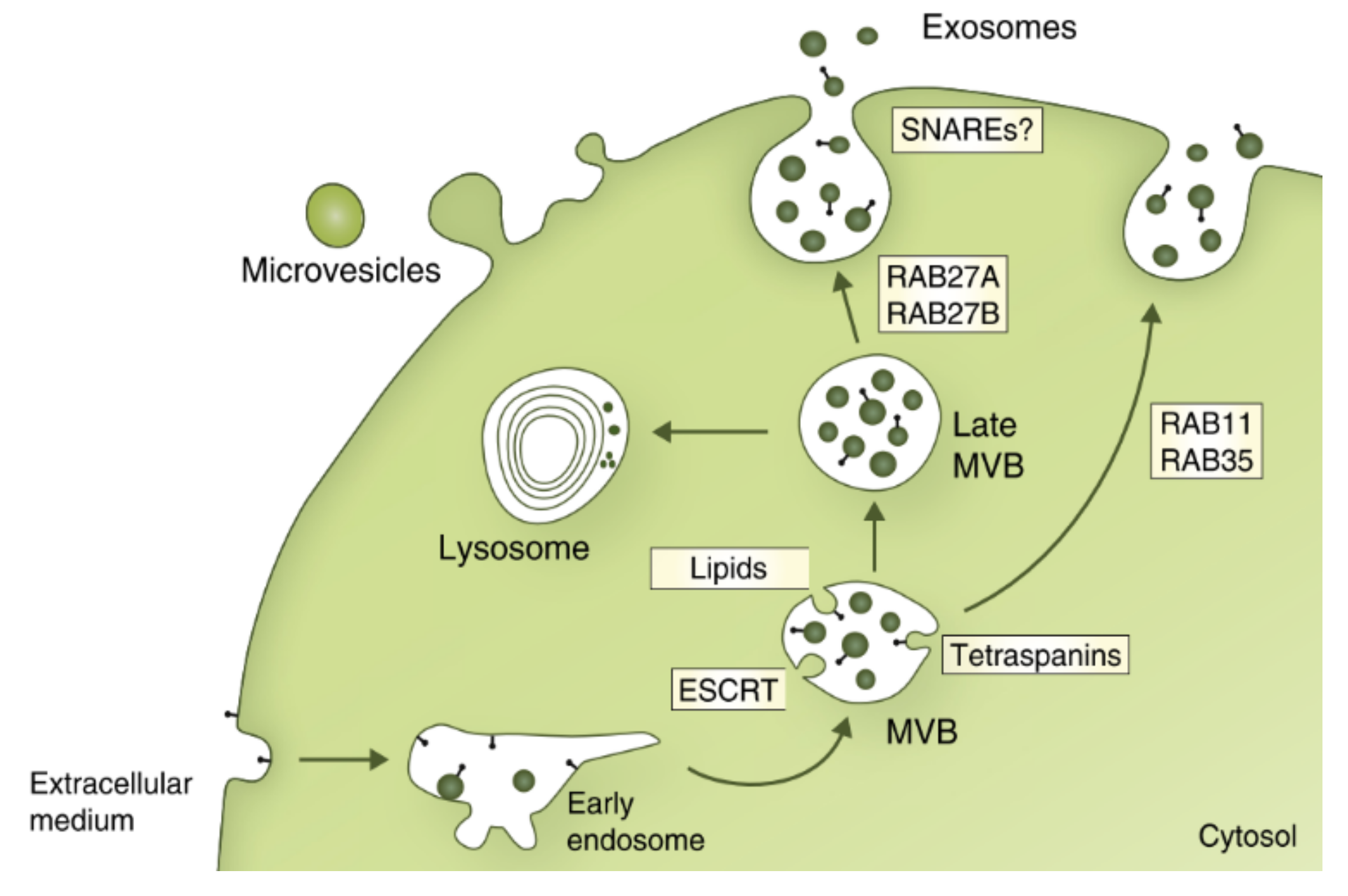 Processes 08 01561 g004 Processes 08 01561 g004