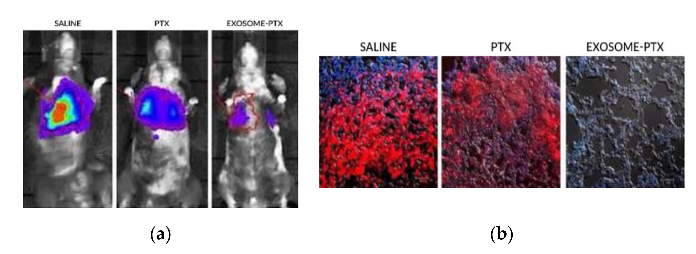 Processes 08 01561 g007 Processes 08 01561 g007