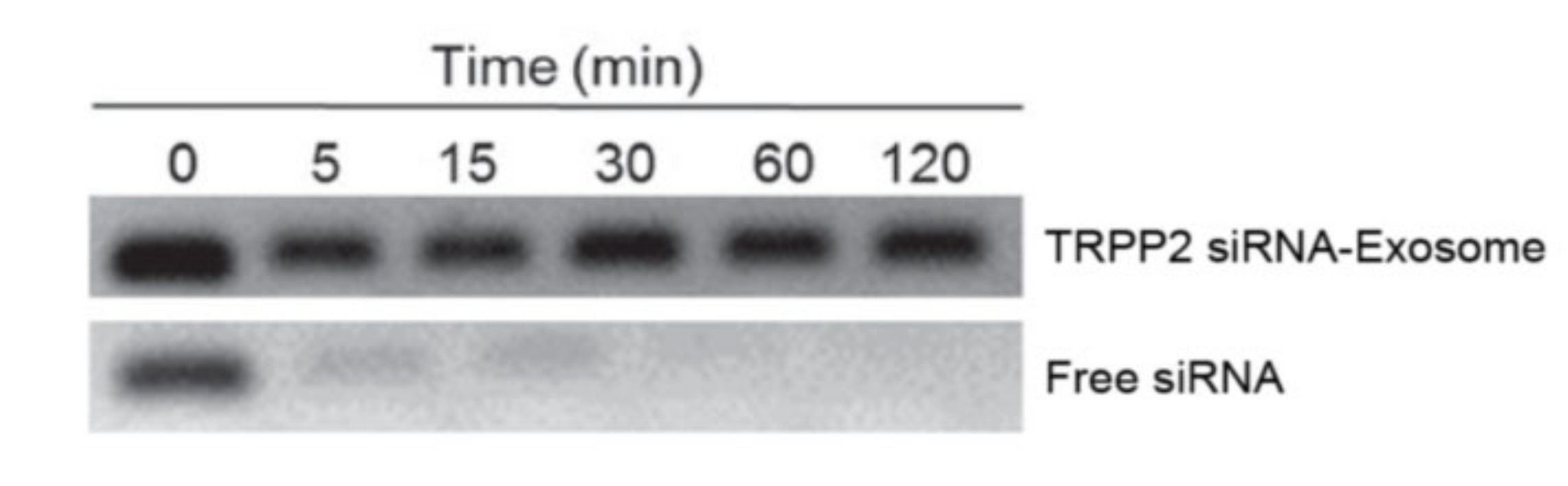 Processes 08 01561 g008 Processes 08 01561 g008
