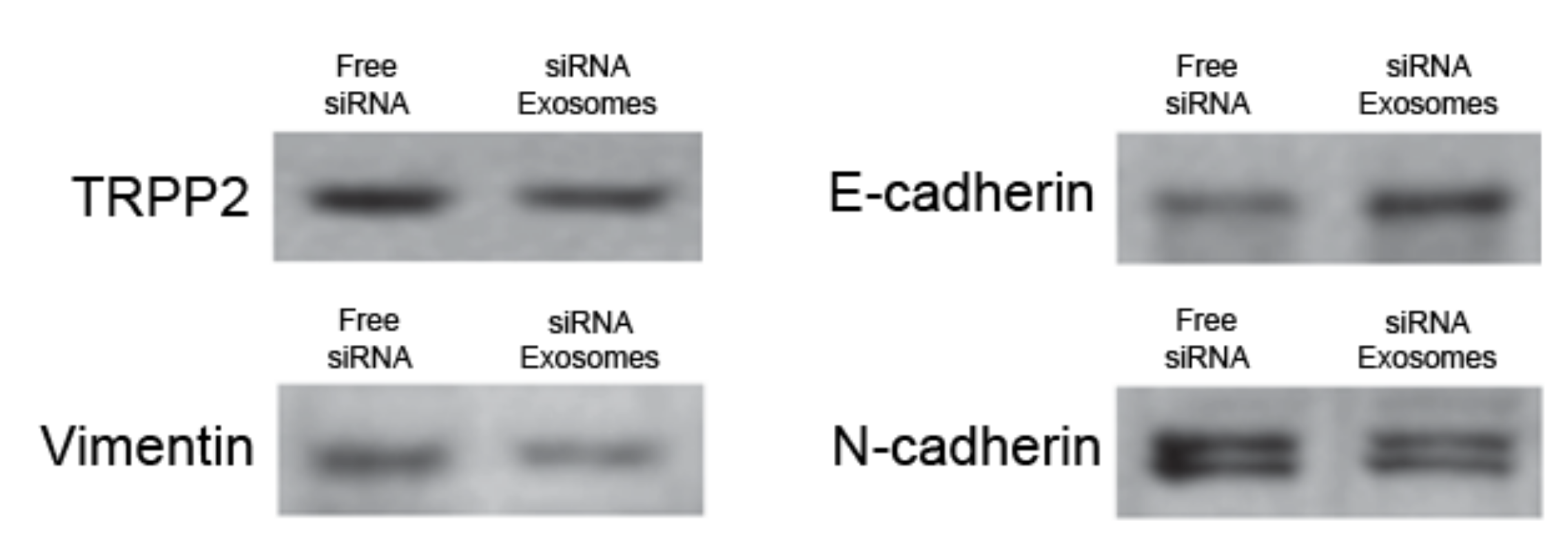 Processes 08 01561 g009 Processes 08 01561 g009