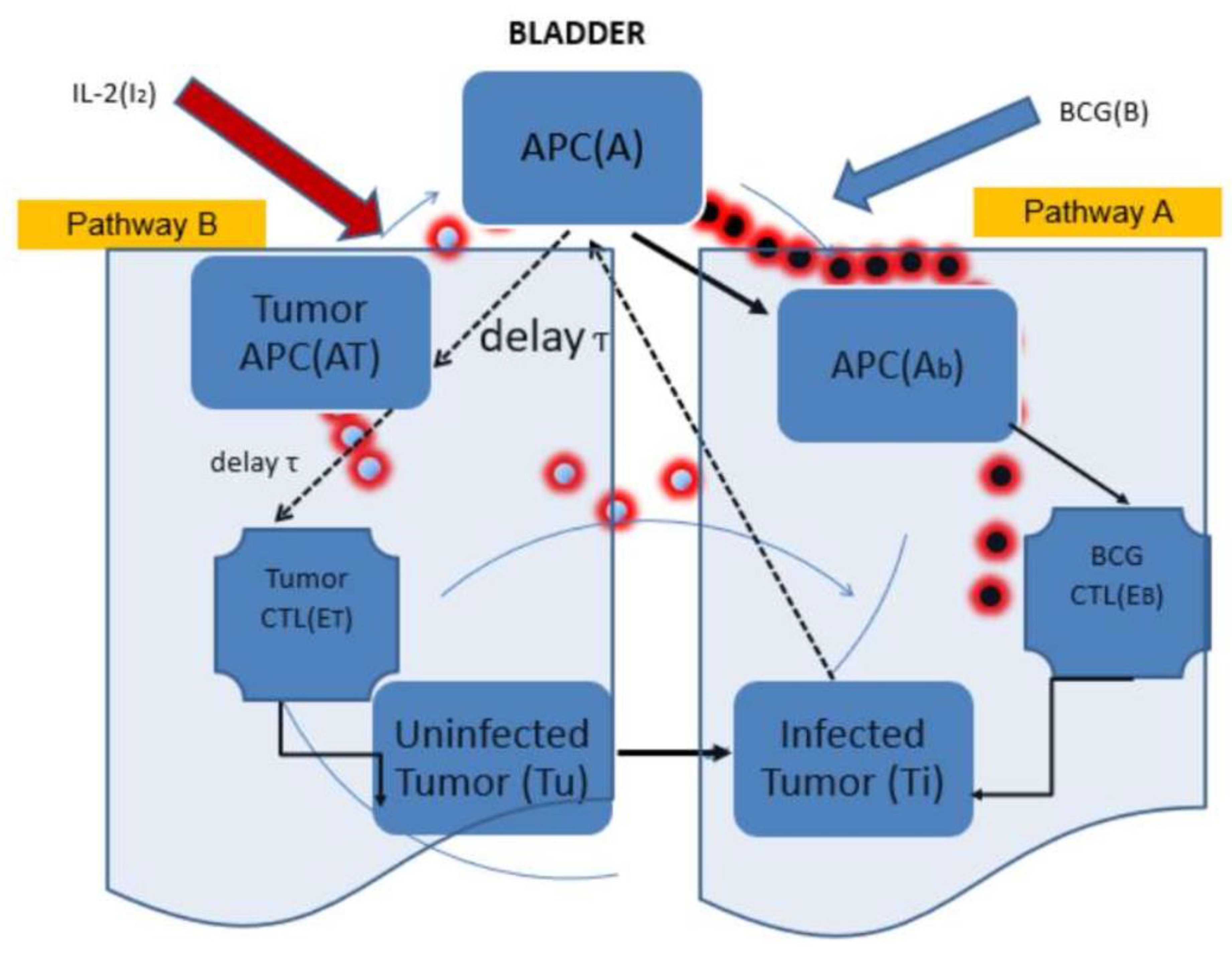 Processes 08 01564 g001