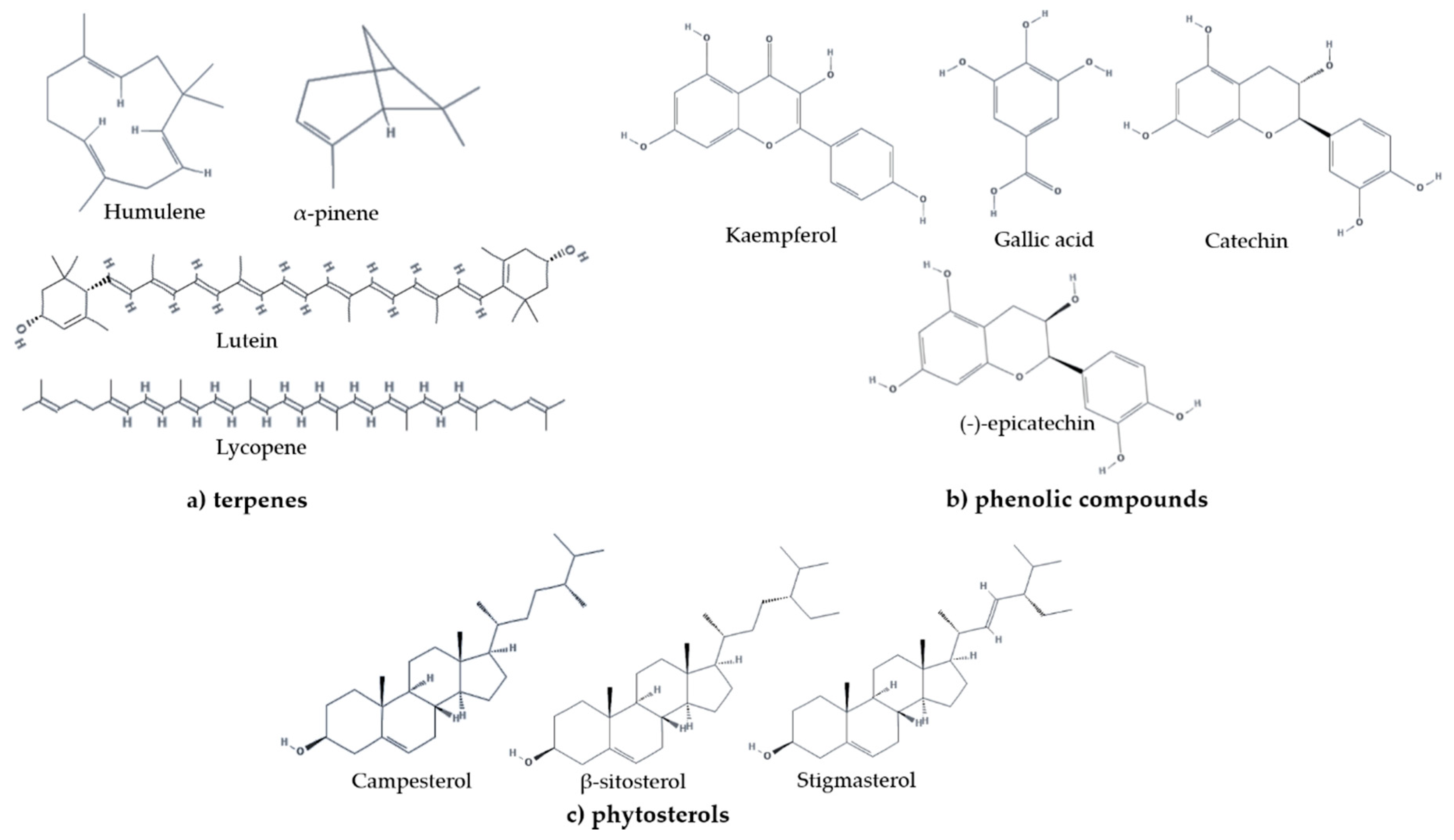 Processes 08 01566 g001 Processes 08 01566 g001