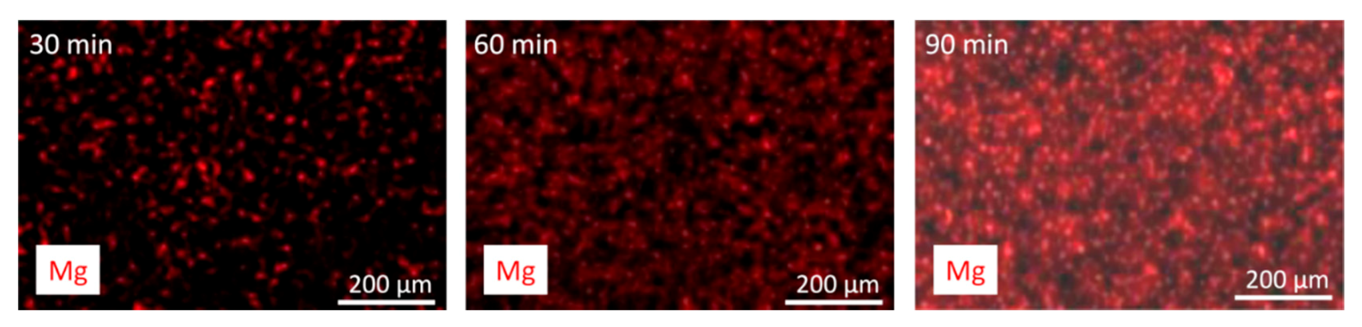 Processes 08 01575 g009