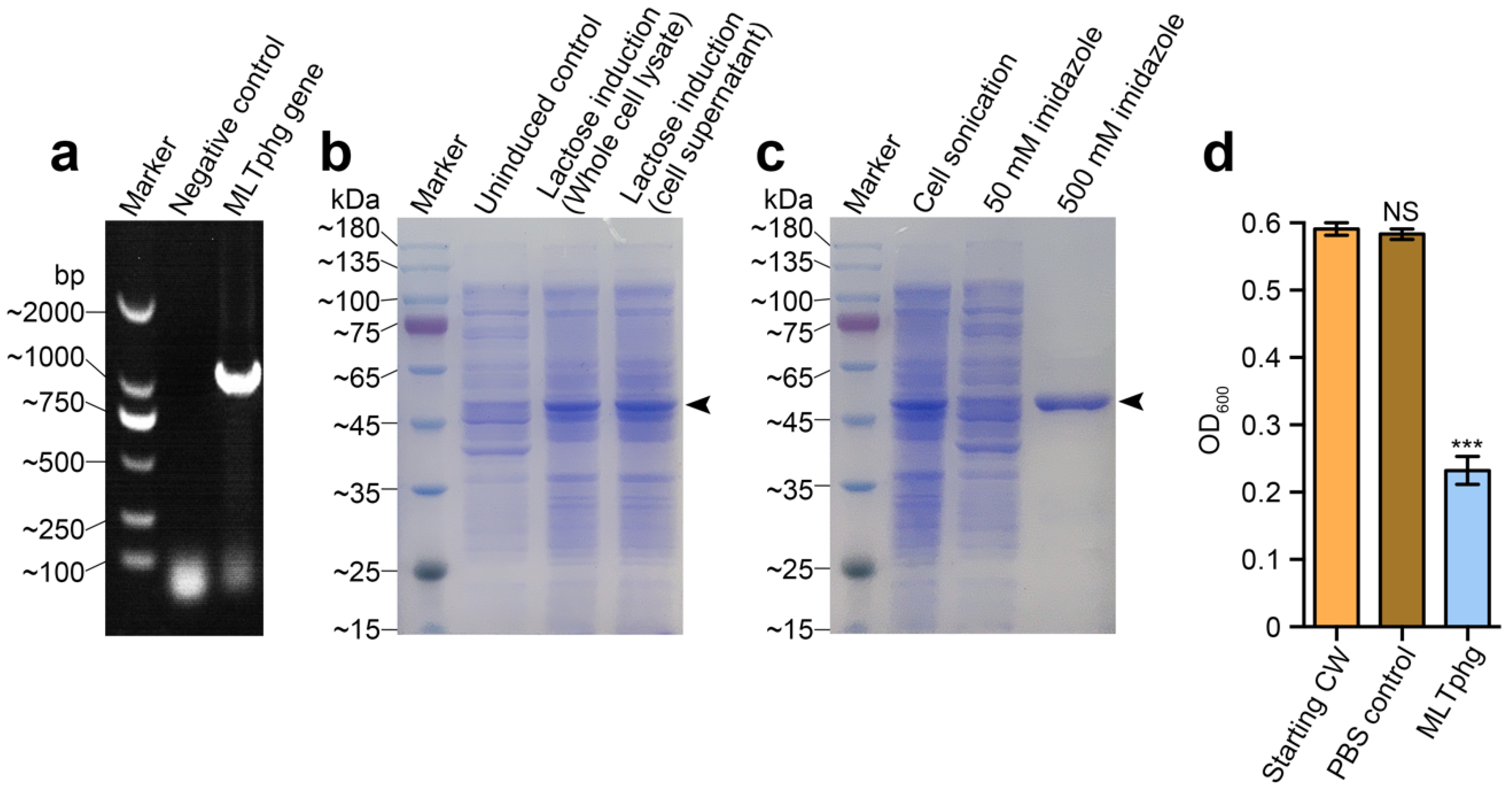 Processes 08 01587 g002 Processes 08 01587 g002