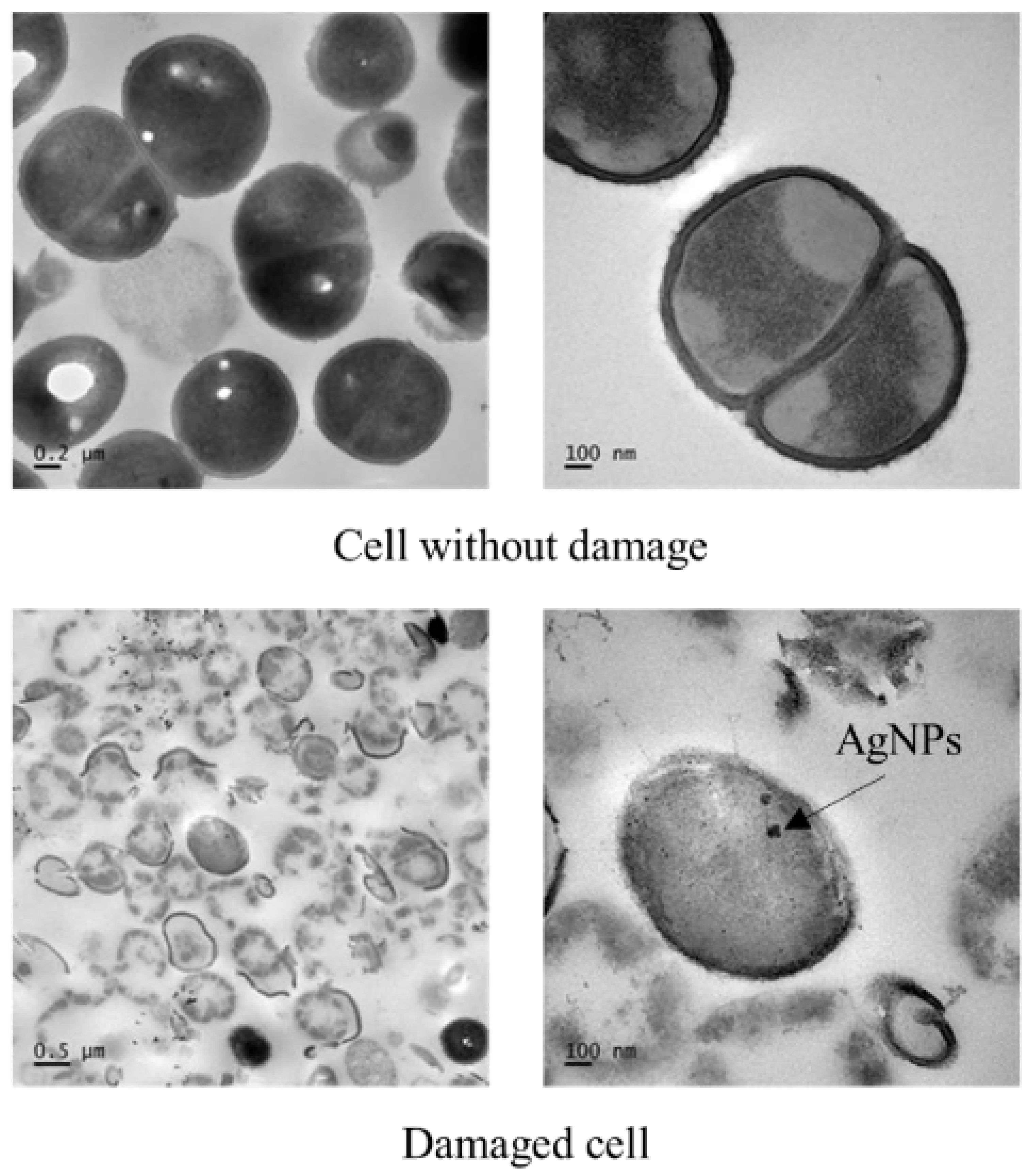 Processes 08 01630 g009 Processes 08 01630 g009