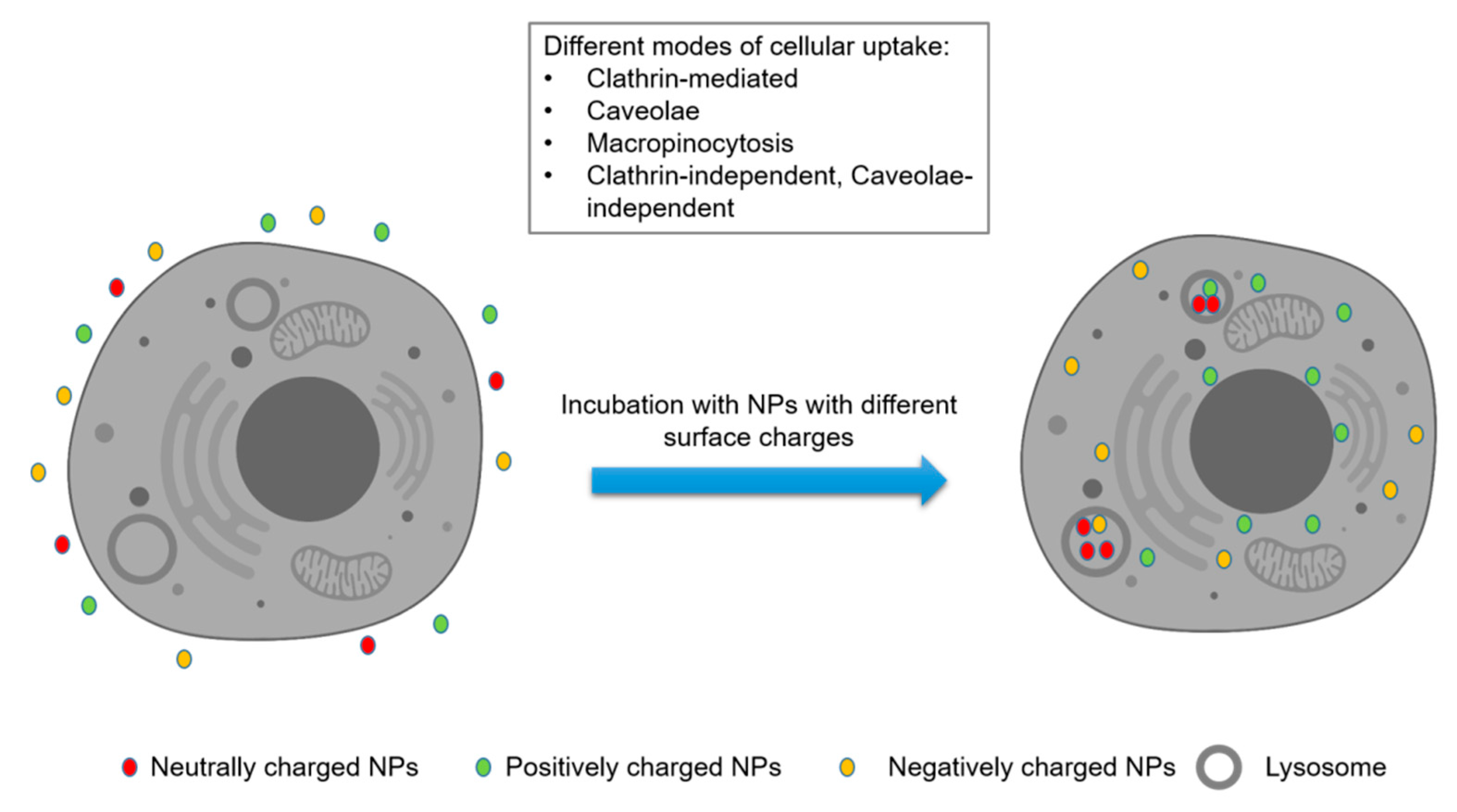 Processes 08 01636 g001 Processes 08 01636 g001