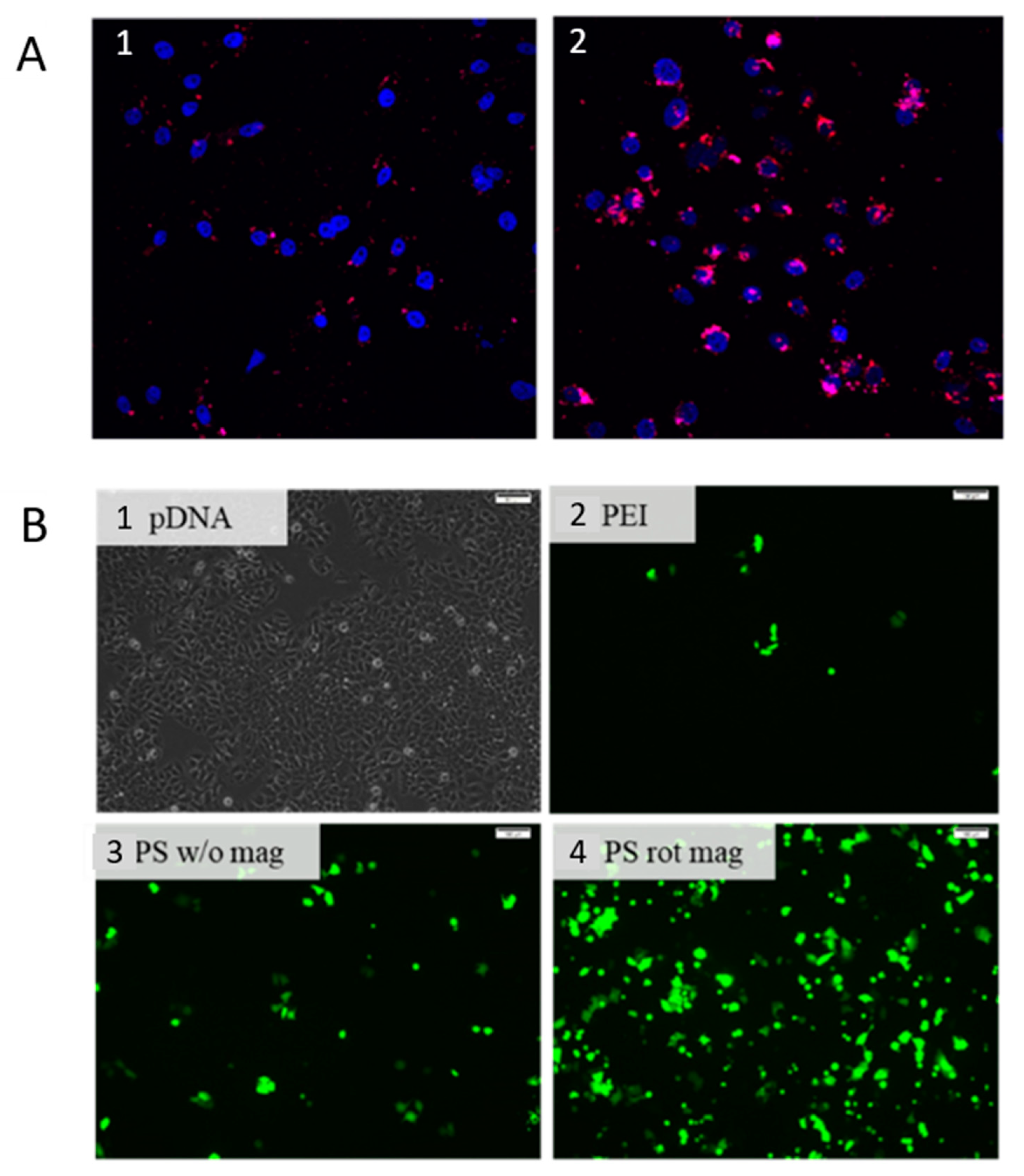 Processes 08 01636 g007 Processes 08 01636 g007