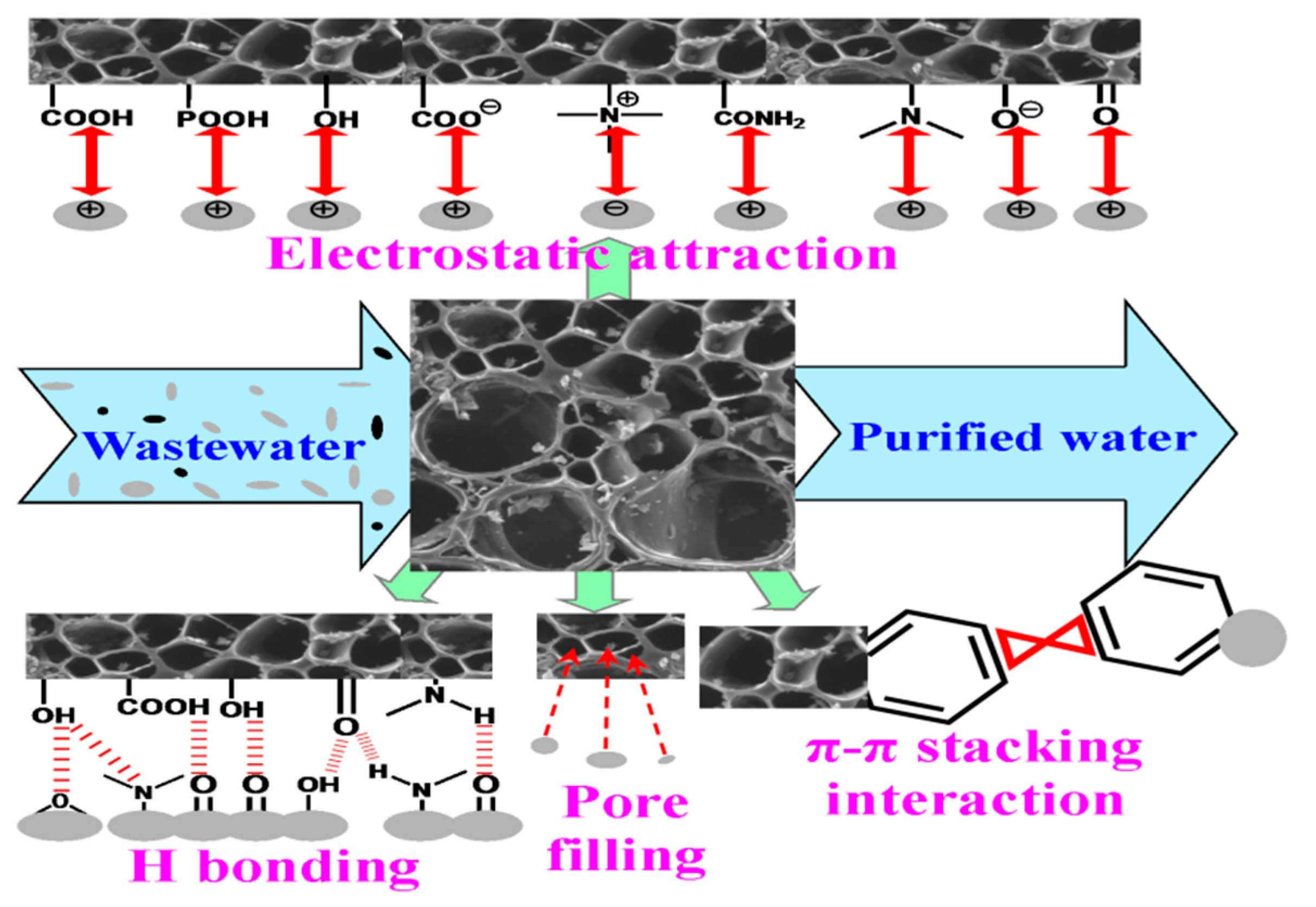 Processes 08 01651 g005