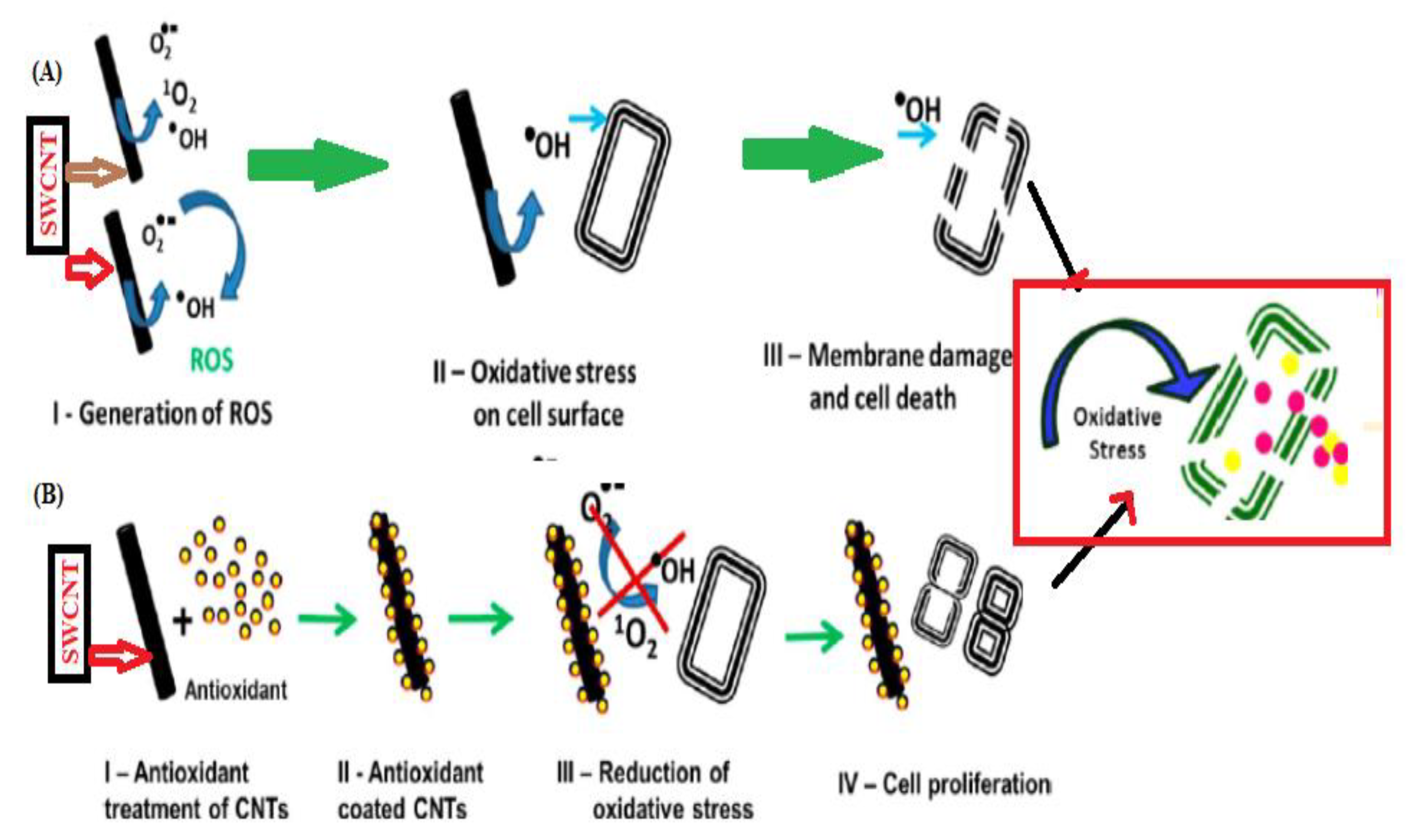 Processes 08 01654 g005