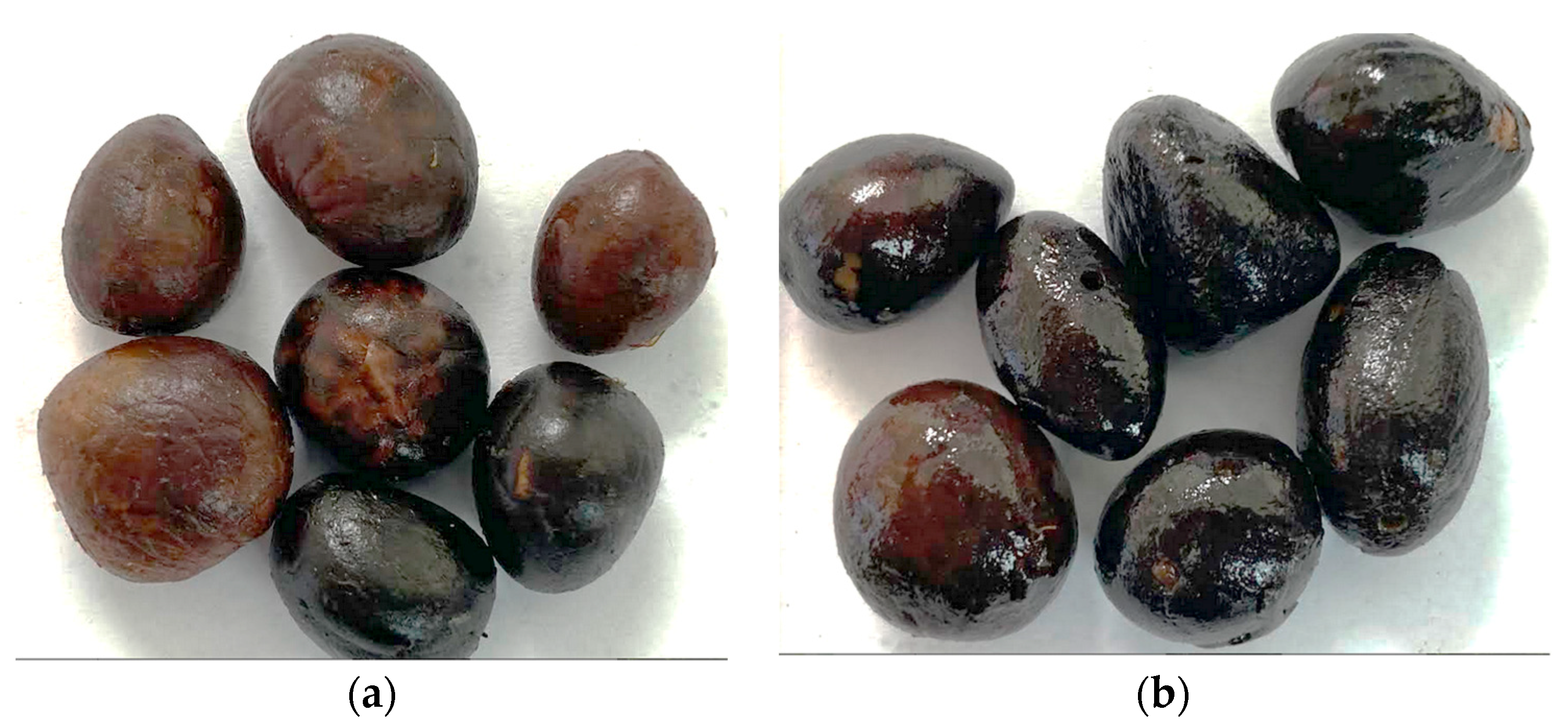 Processes 08 01658 g006