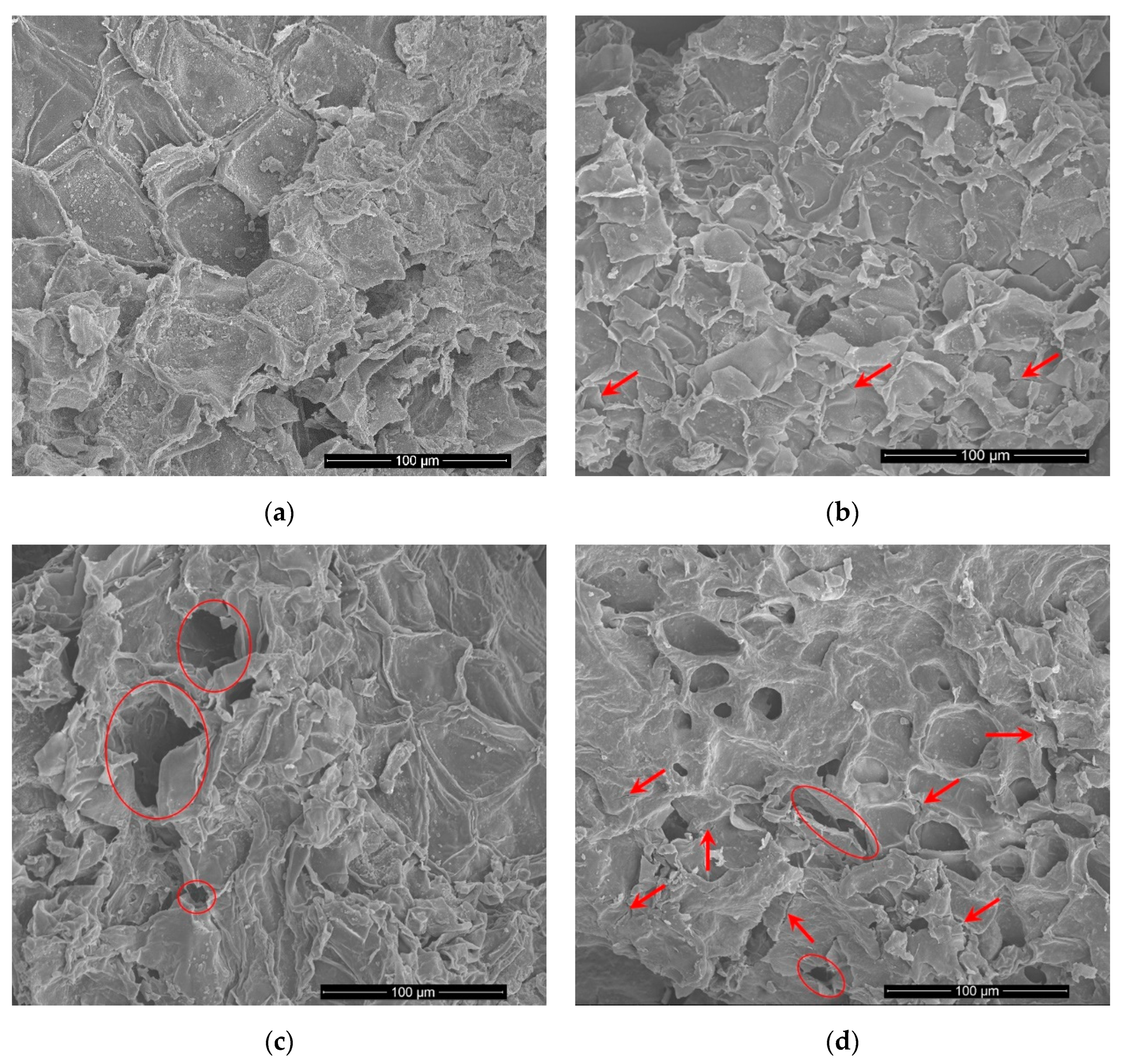Processes 08 01665 g003 Processes 08 01665 g003