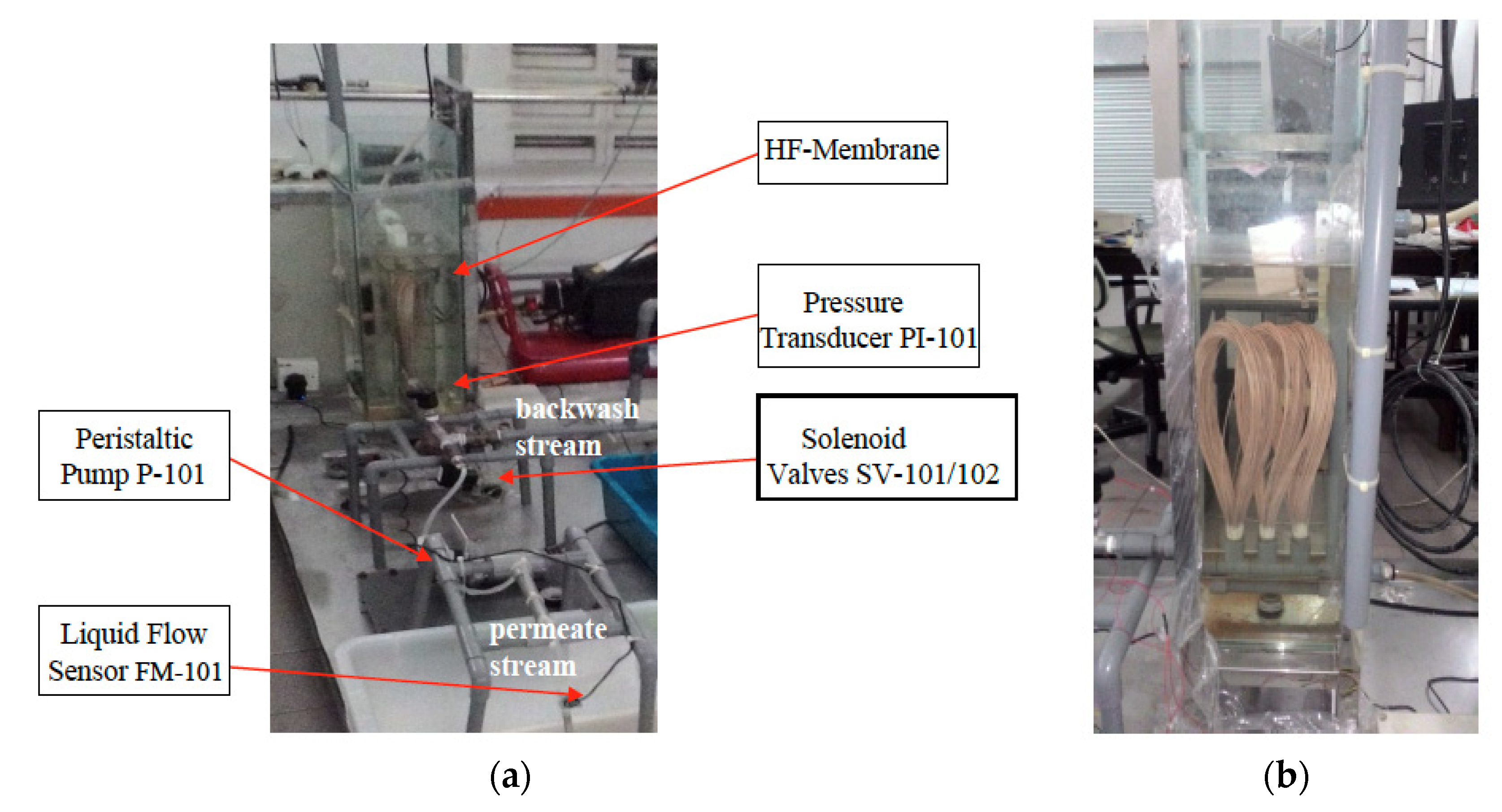 Processes 08 01672 g003
