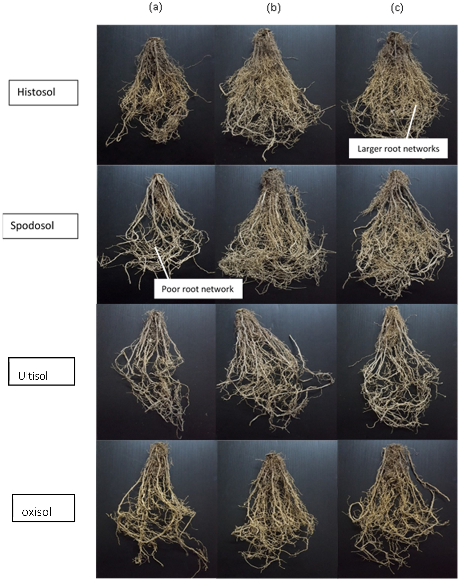 Processes 08 01681 g006