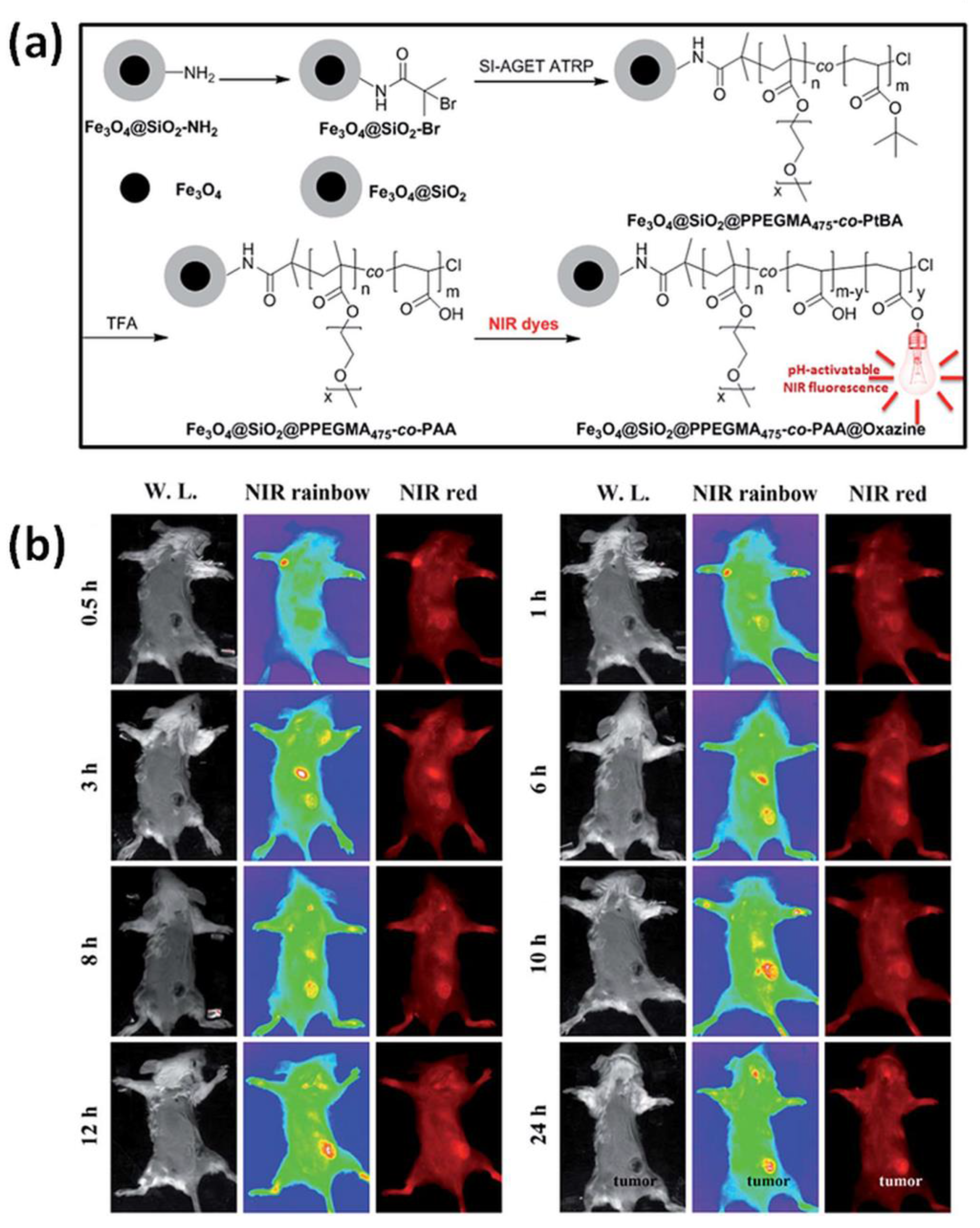Processes 08 01683 g006 Processes 08 01683 g006