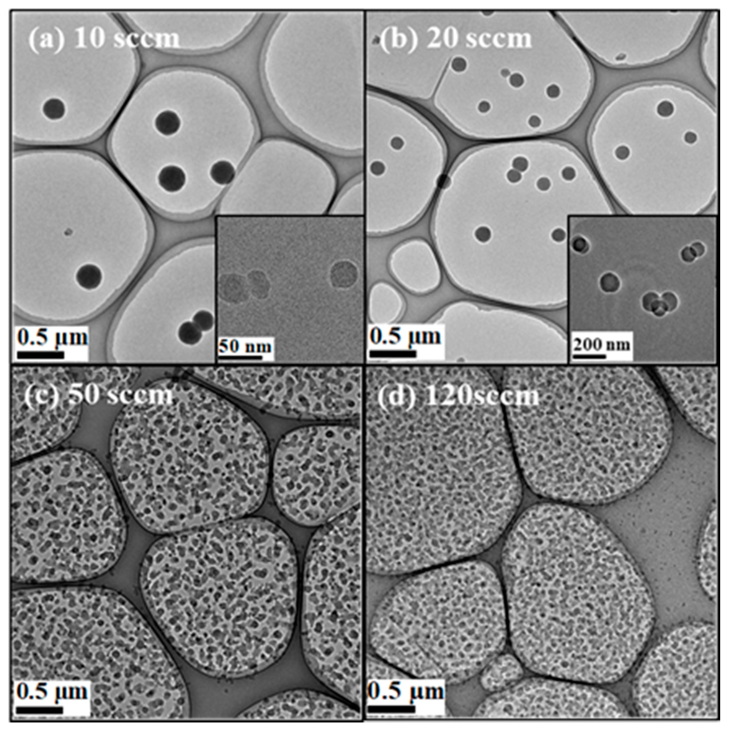 Processes 09 00002 g002