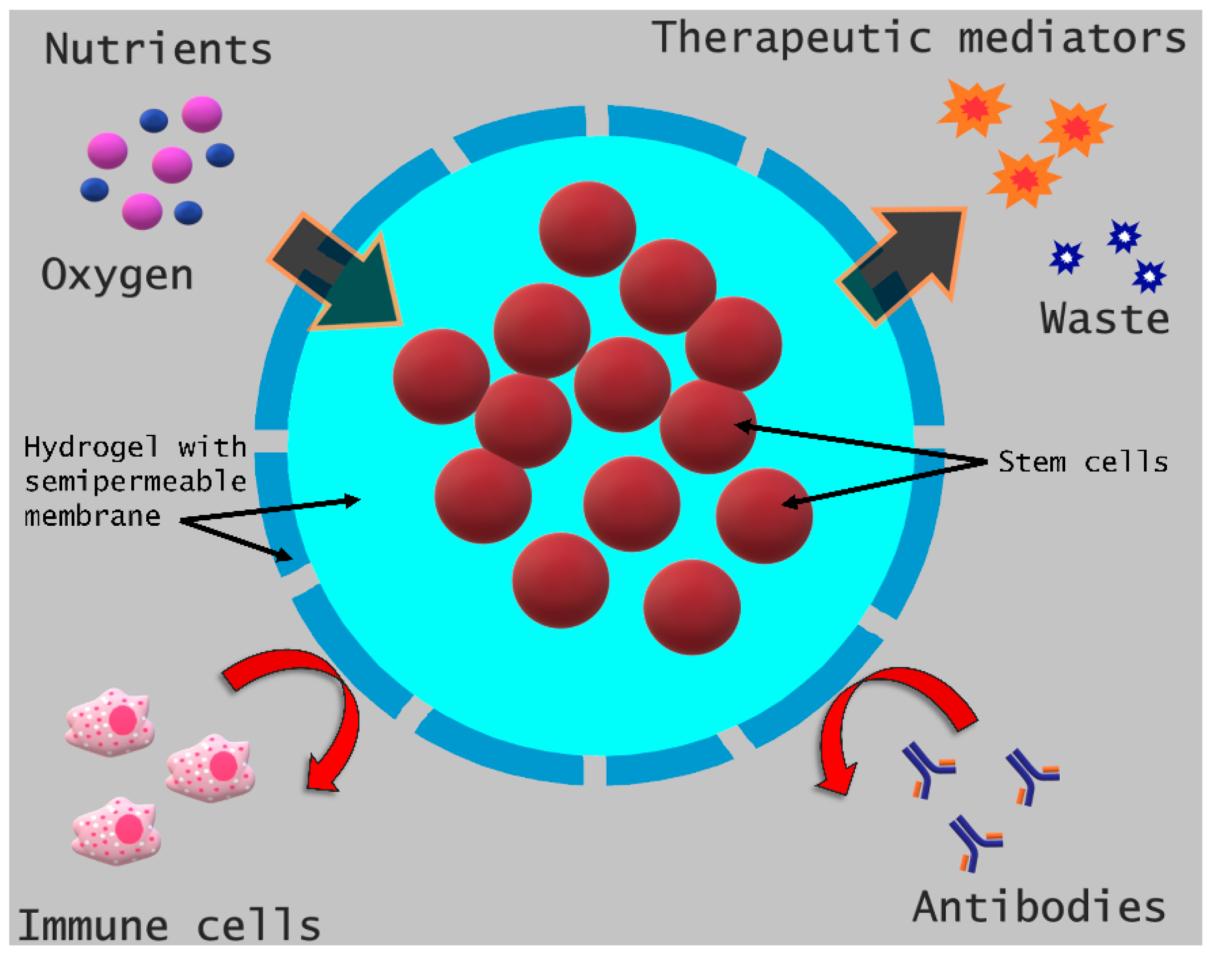 Processes 09 00011 g001