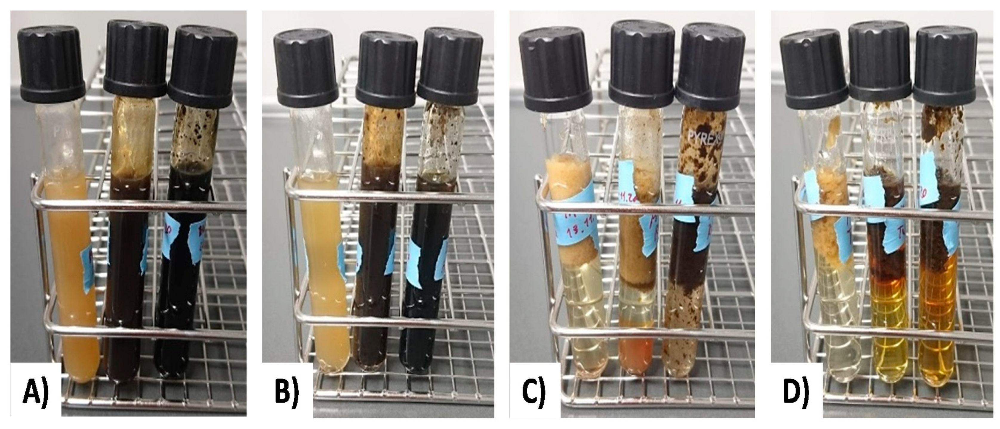 Processes 09 00013 g015