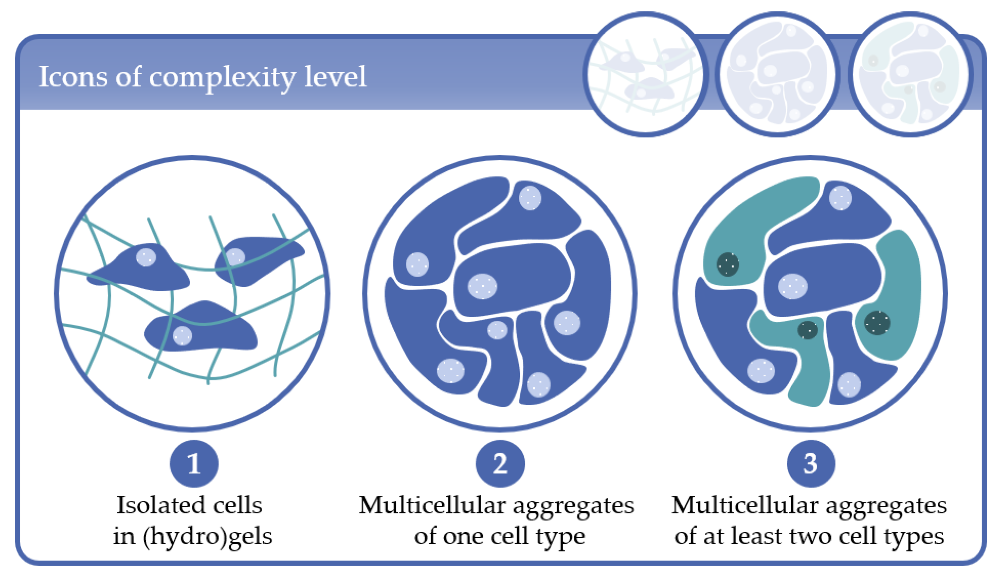 Processes 09 00021 g001