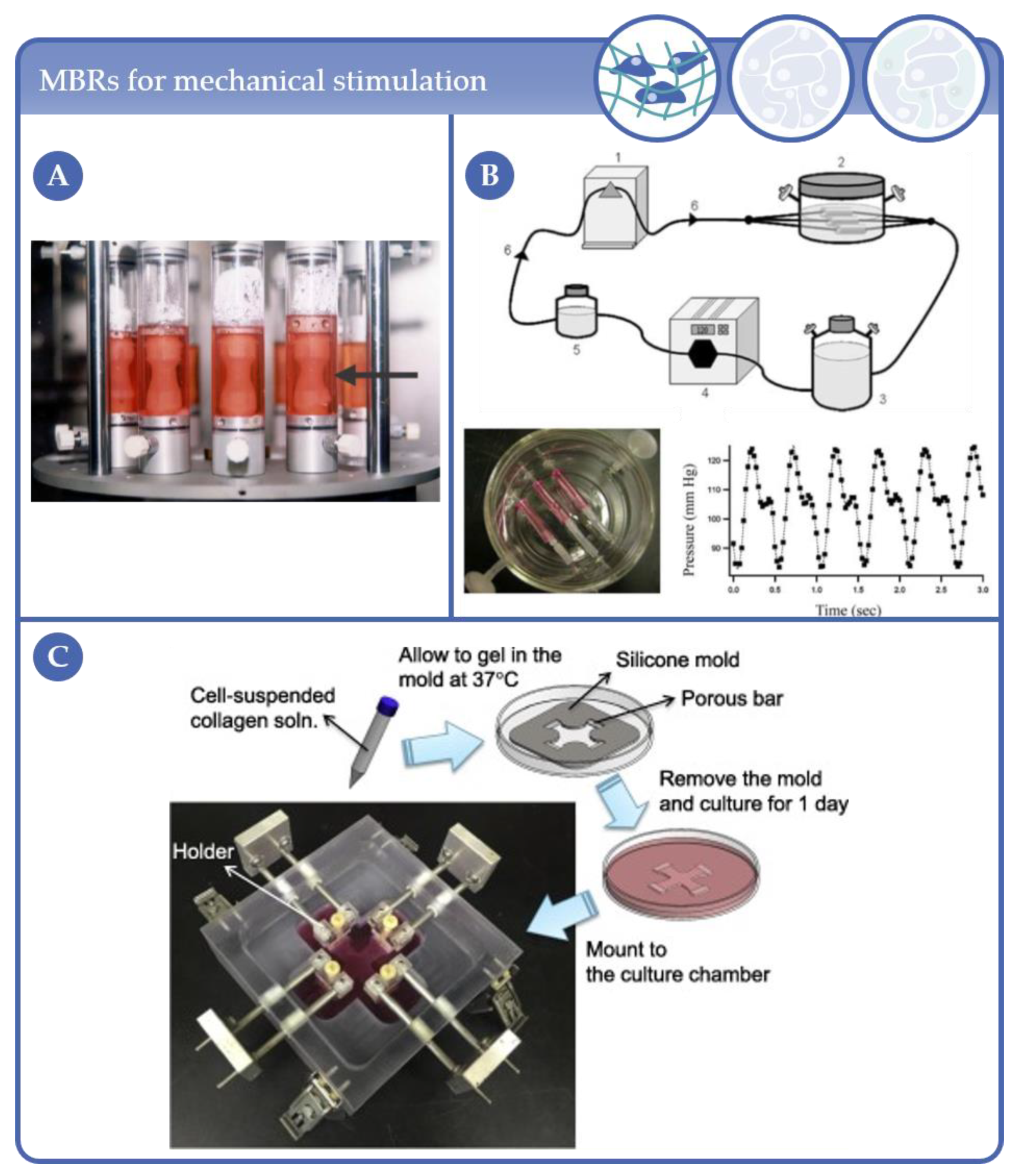 Processes 09 00021 g002