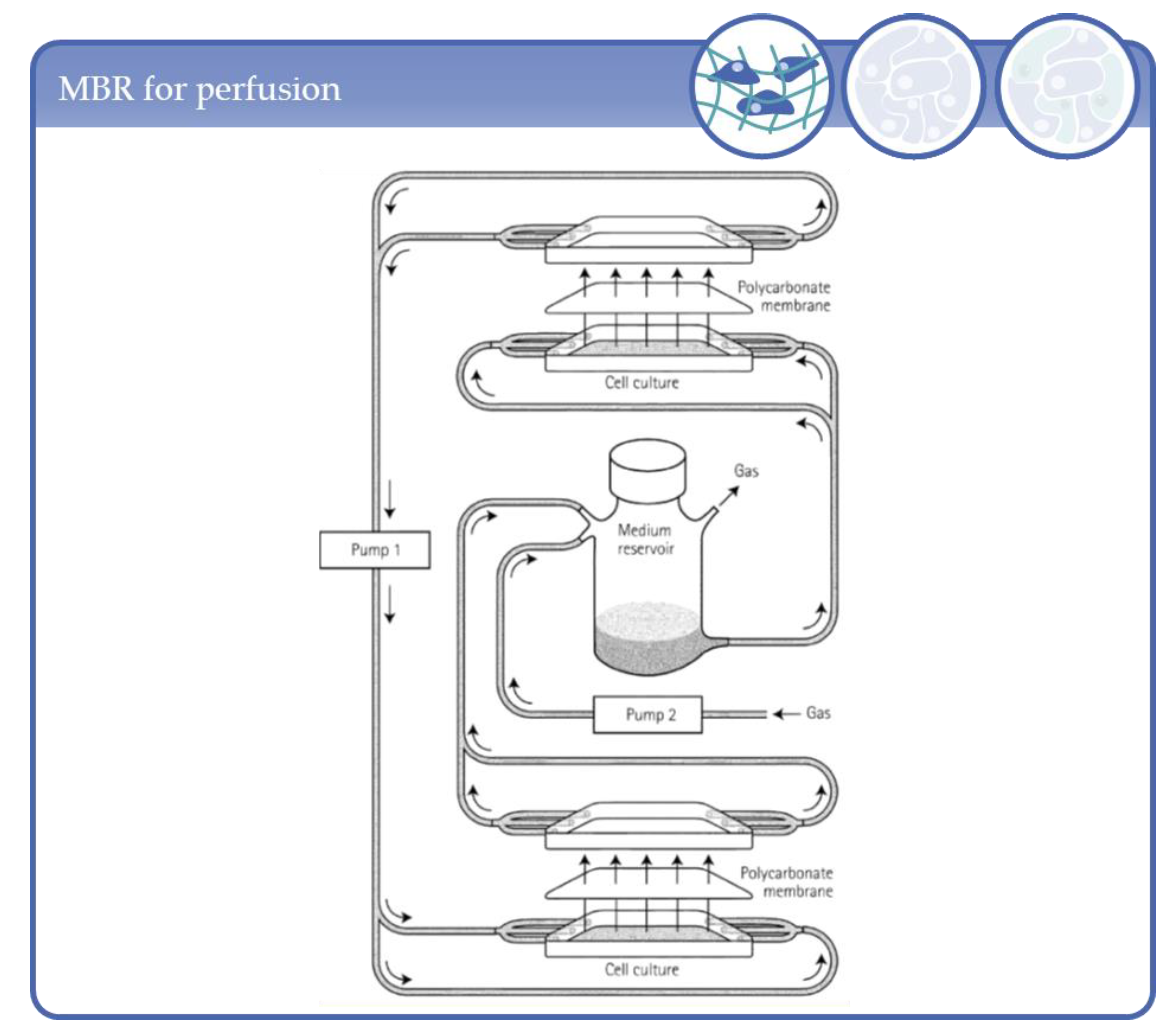 Processes 09 00021 g003