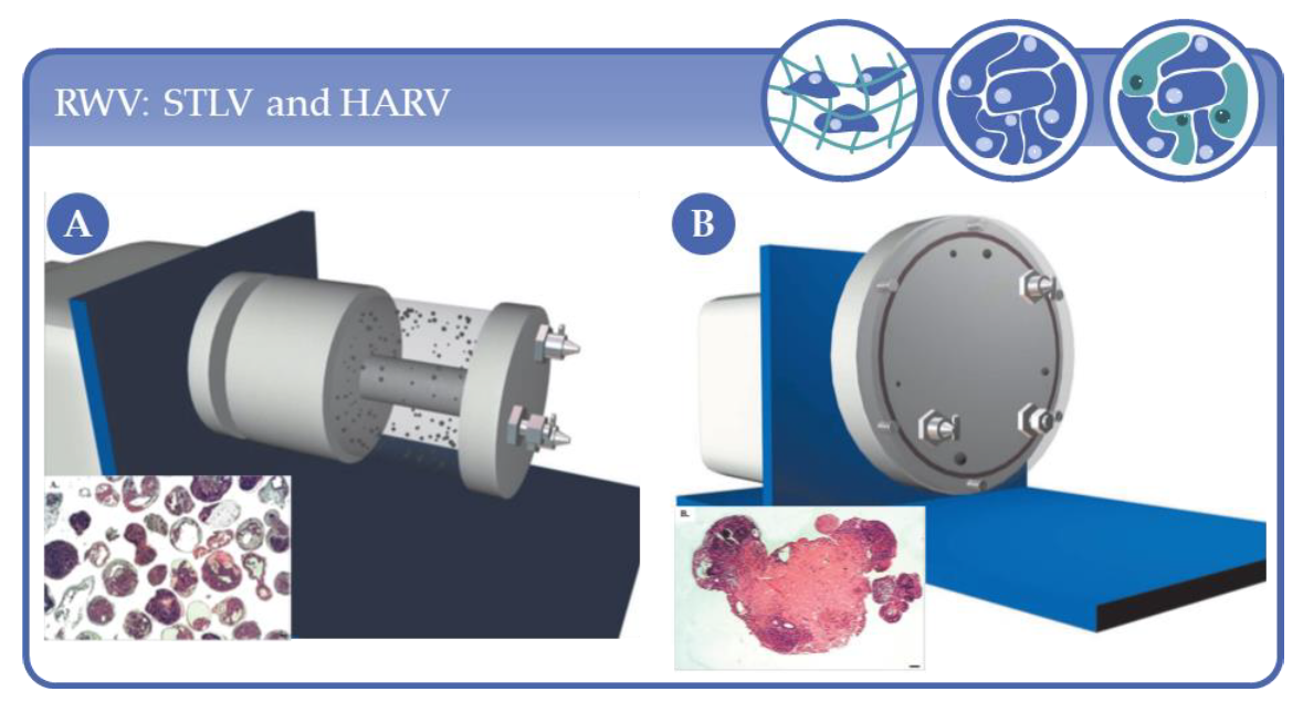 Processes 09 00021 g008