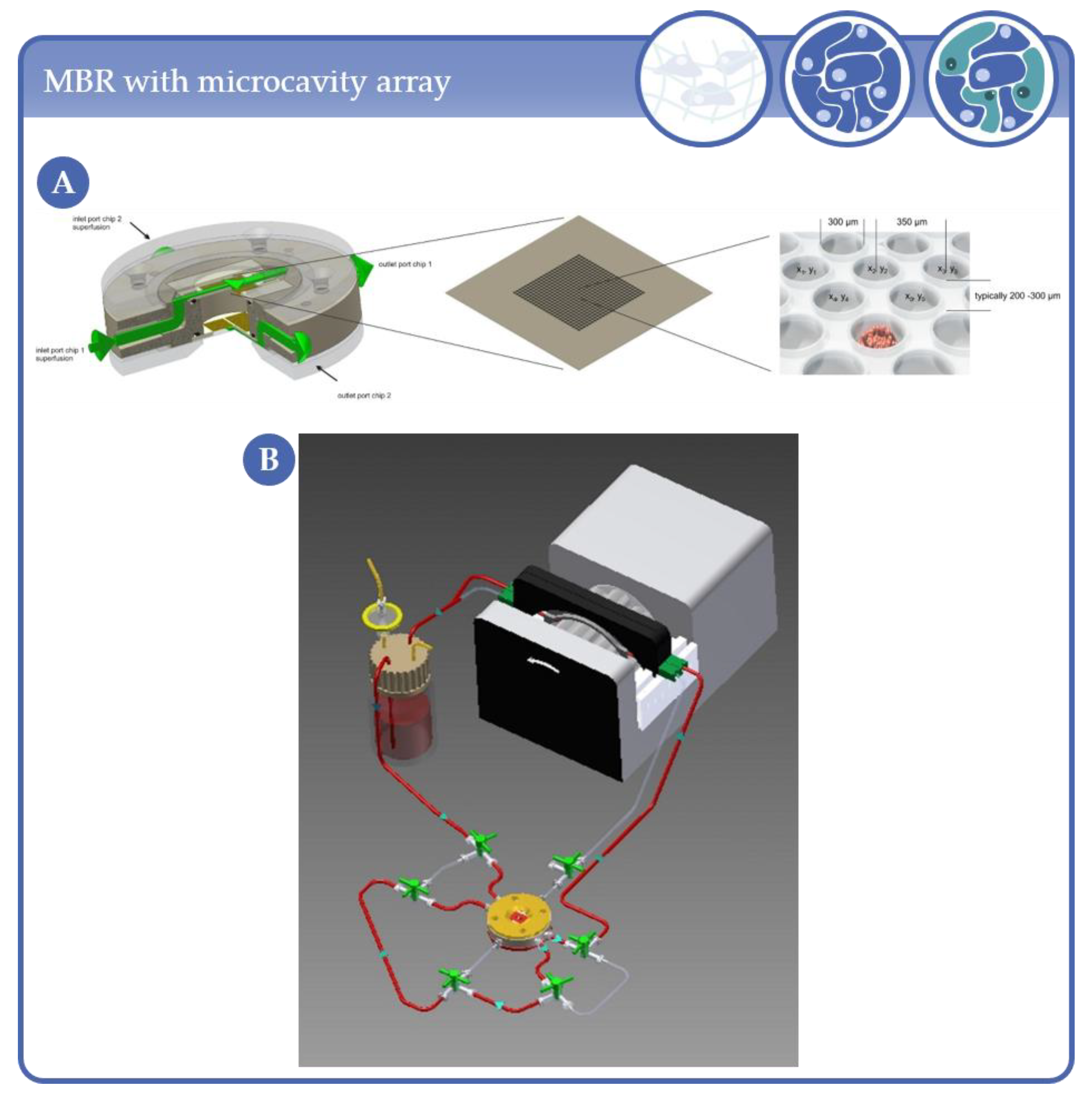 Processes 09 00021 g009
