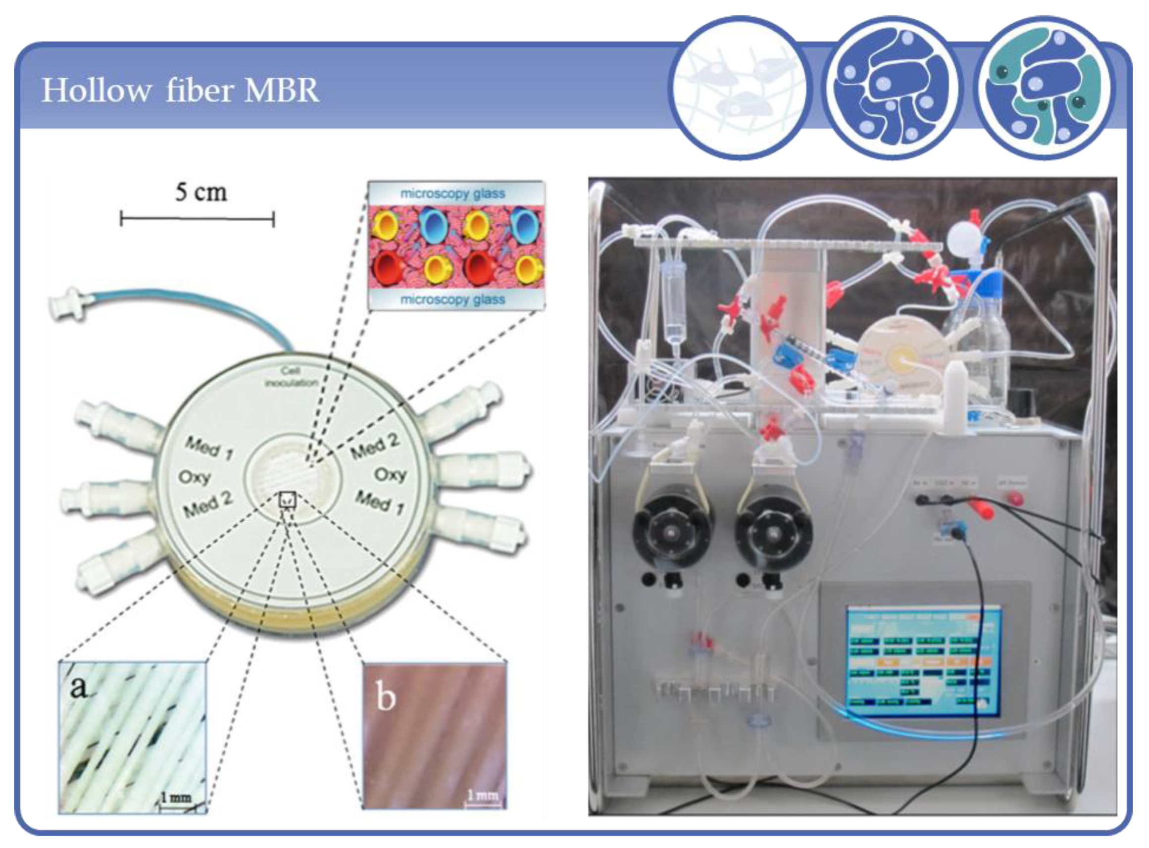 Processes 09 00021 g010