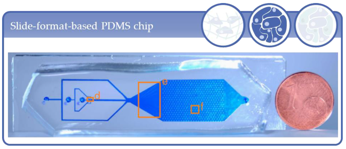 Processes 09 00021 g012