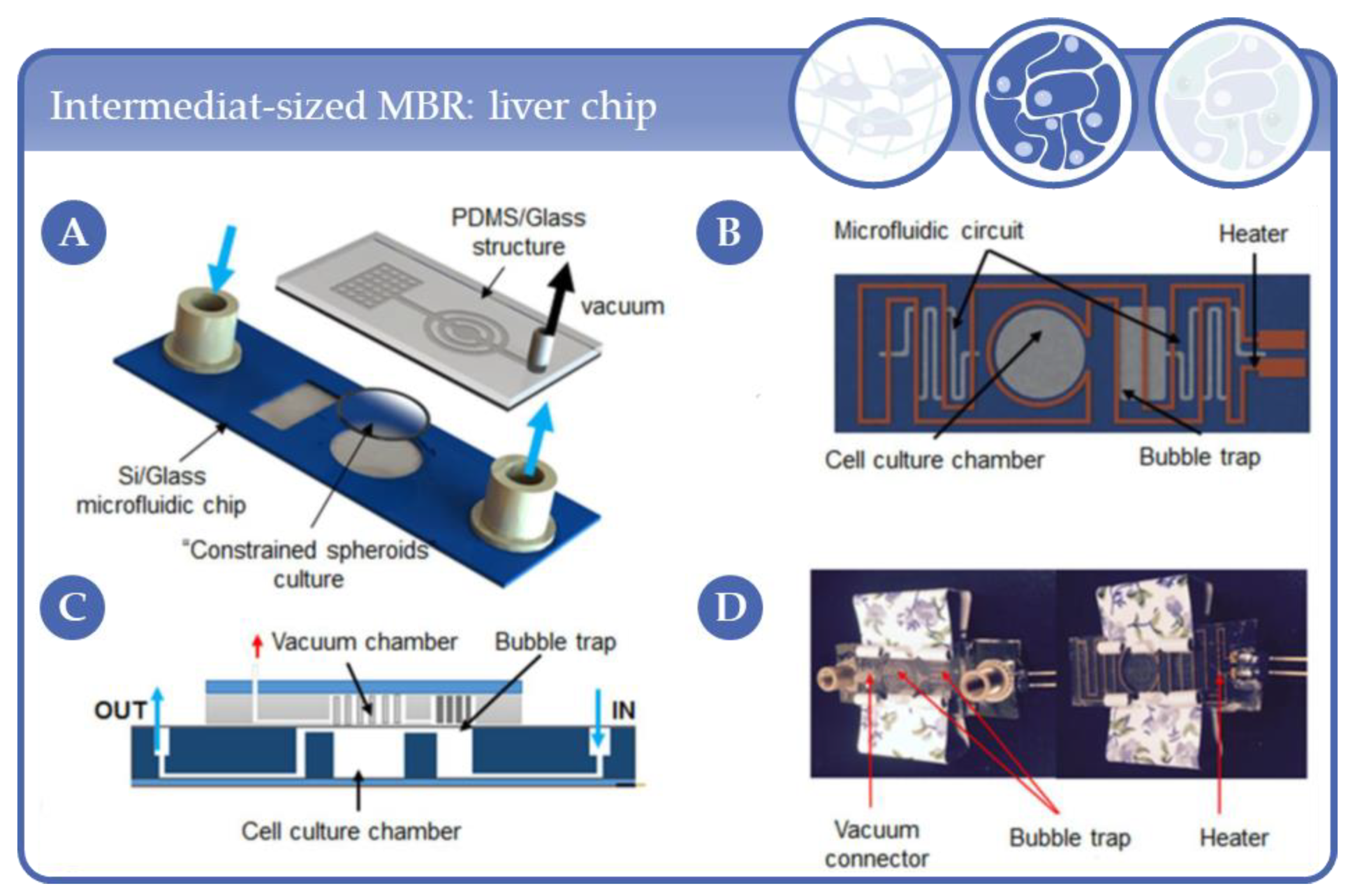 Processes 09 00021 g013