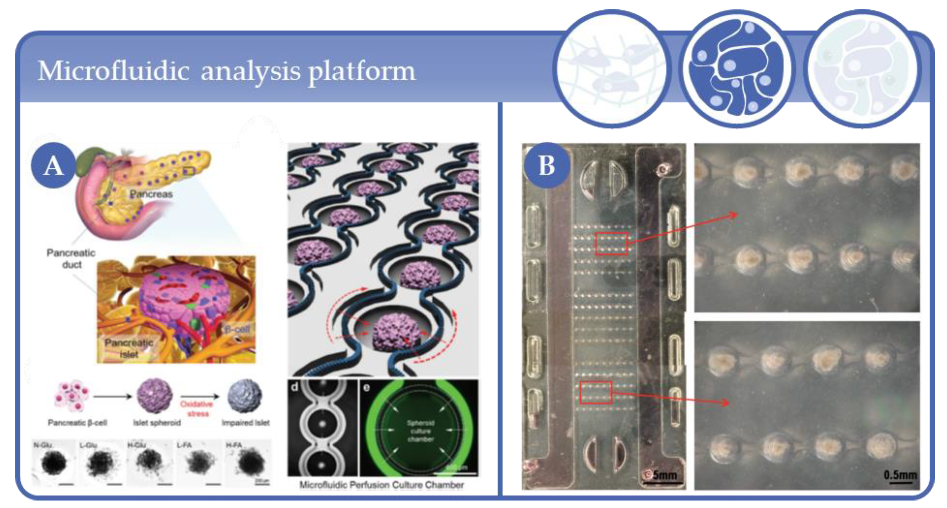 Processes 09 00021 g015