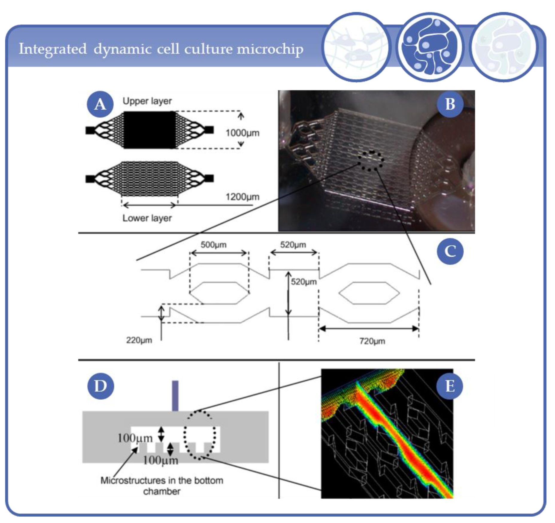 Processes 09 00021 g016