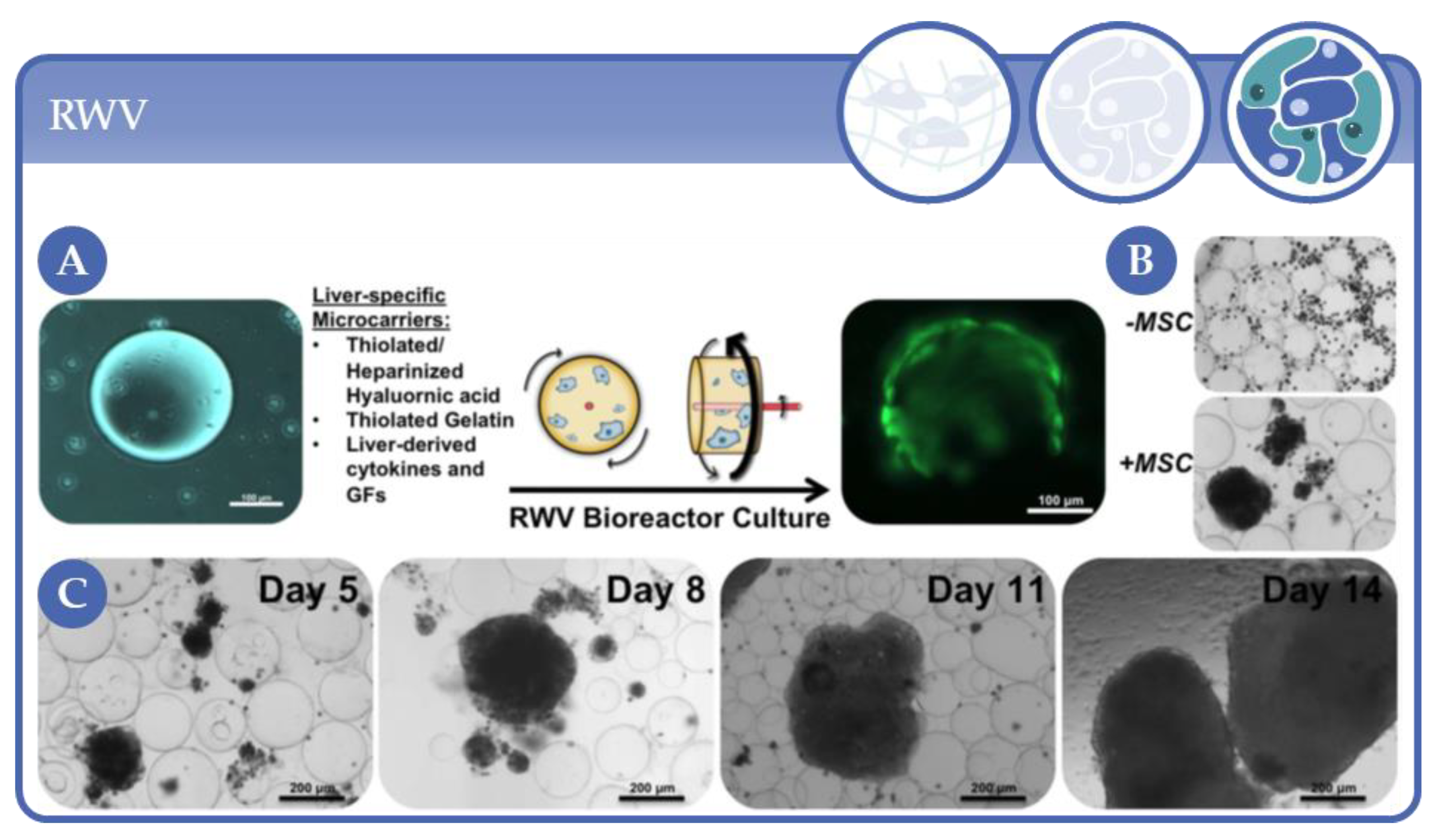 Processes 09 00021 g019