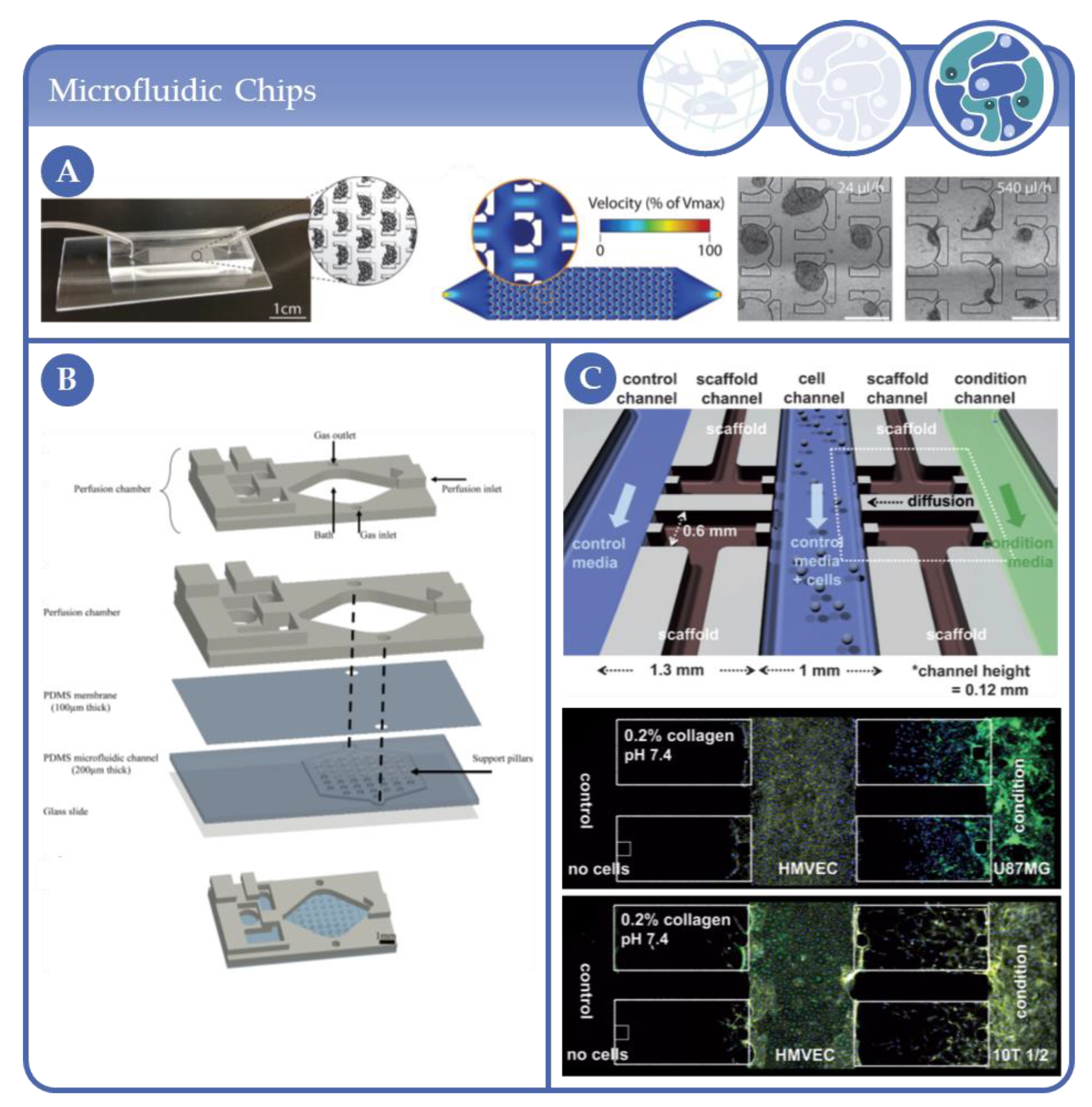 Processes 09 00021 g020