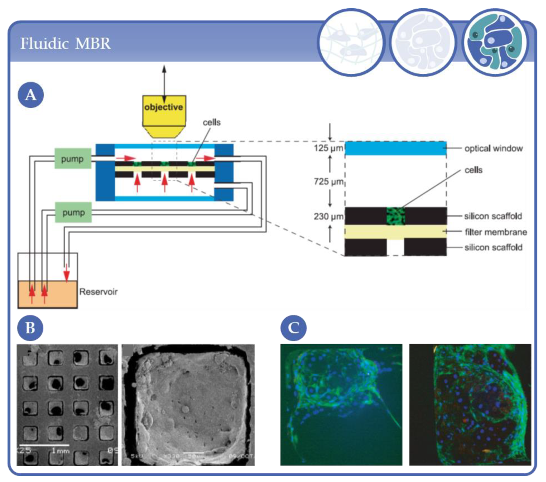 Processes 09 00021 g022